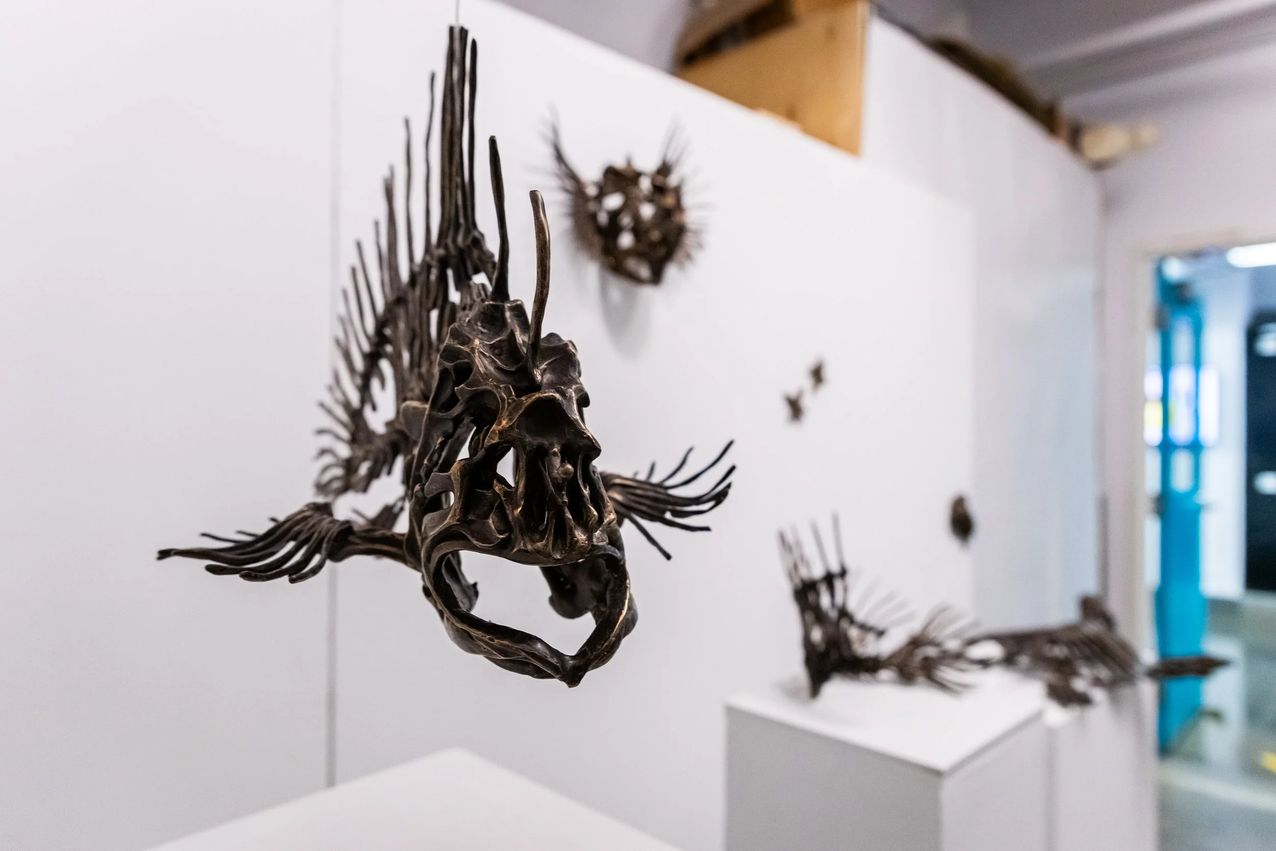 gradex110-36.jpg