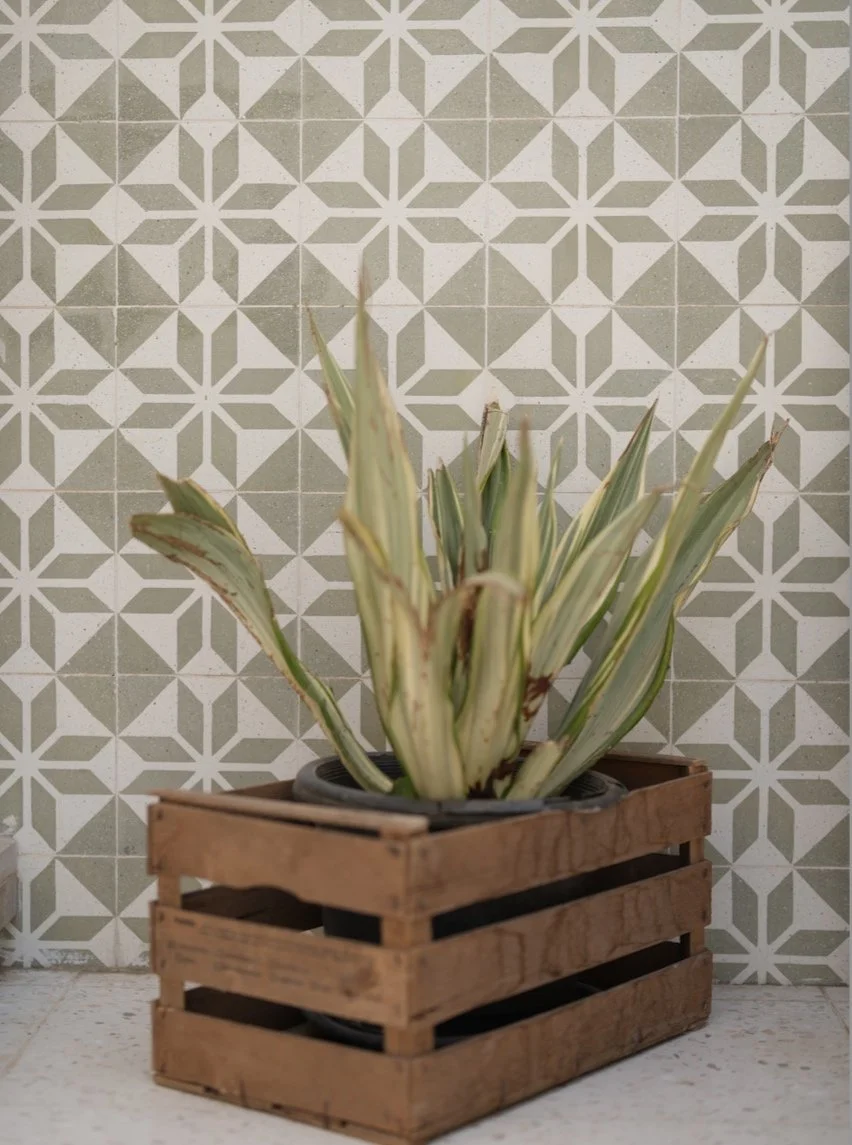 Topfpflanze in einem Holzkasten vor einer Wand mit geometrischem Muster