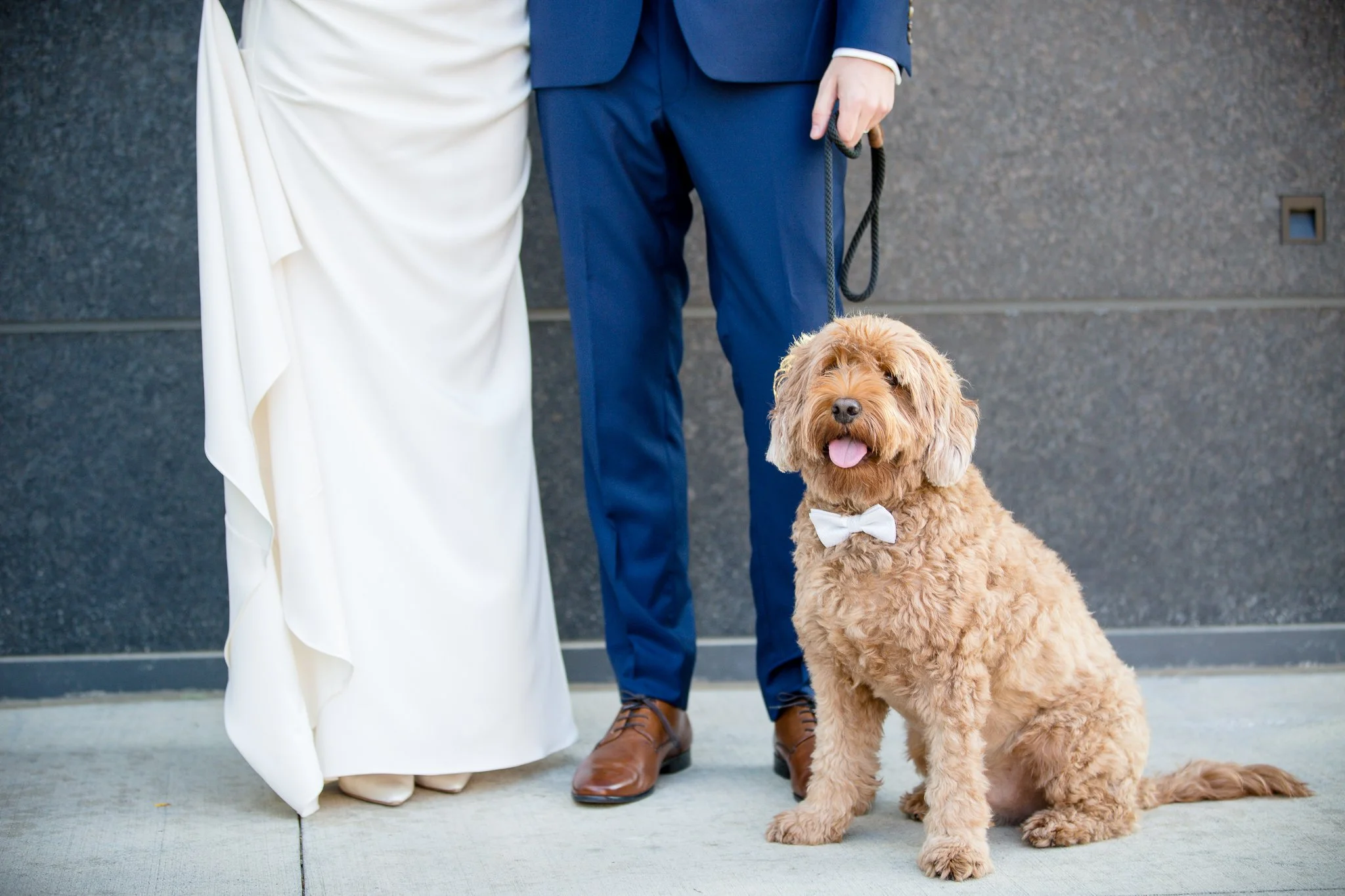 A dog wearing a white bow tie sitting on the sidewalk beside a bride and groom dressed in wedding attire.