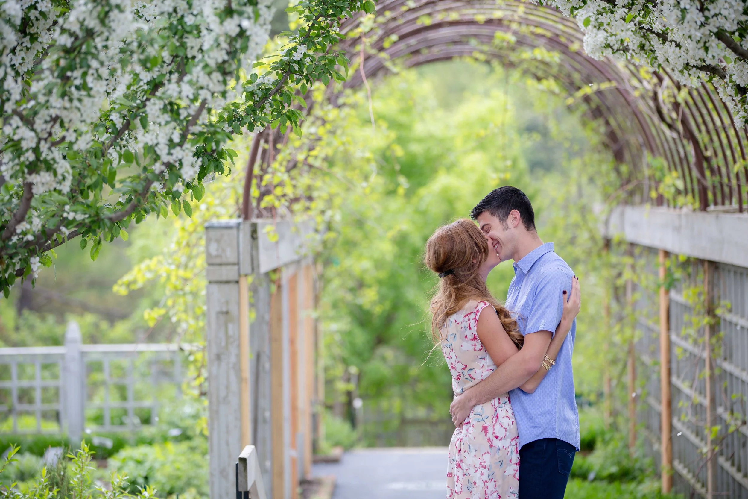 A young engaged couple in love sharing a kiss under a blossoming archway in a garden, taken by MN photographer LKW Photography at the MN Landscape Arboretum.