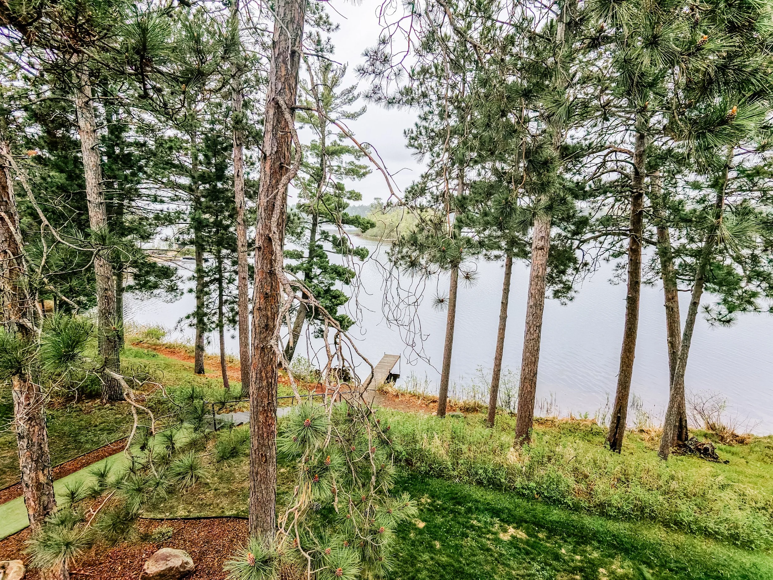 View of a wooded lakeside with tall pine trees, green grass, and a small dock by the water, under a cloudy sky.