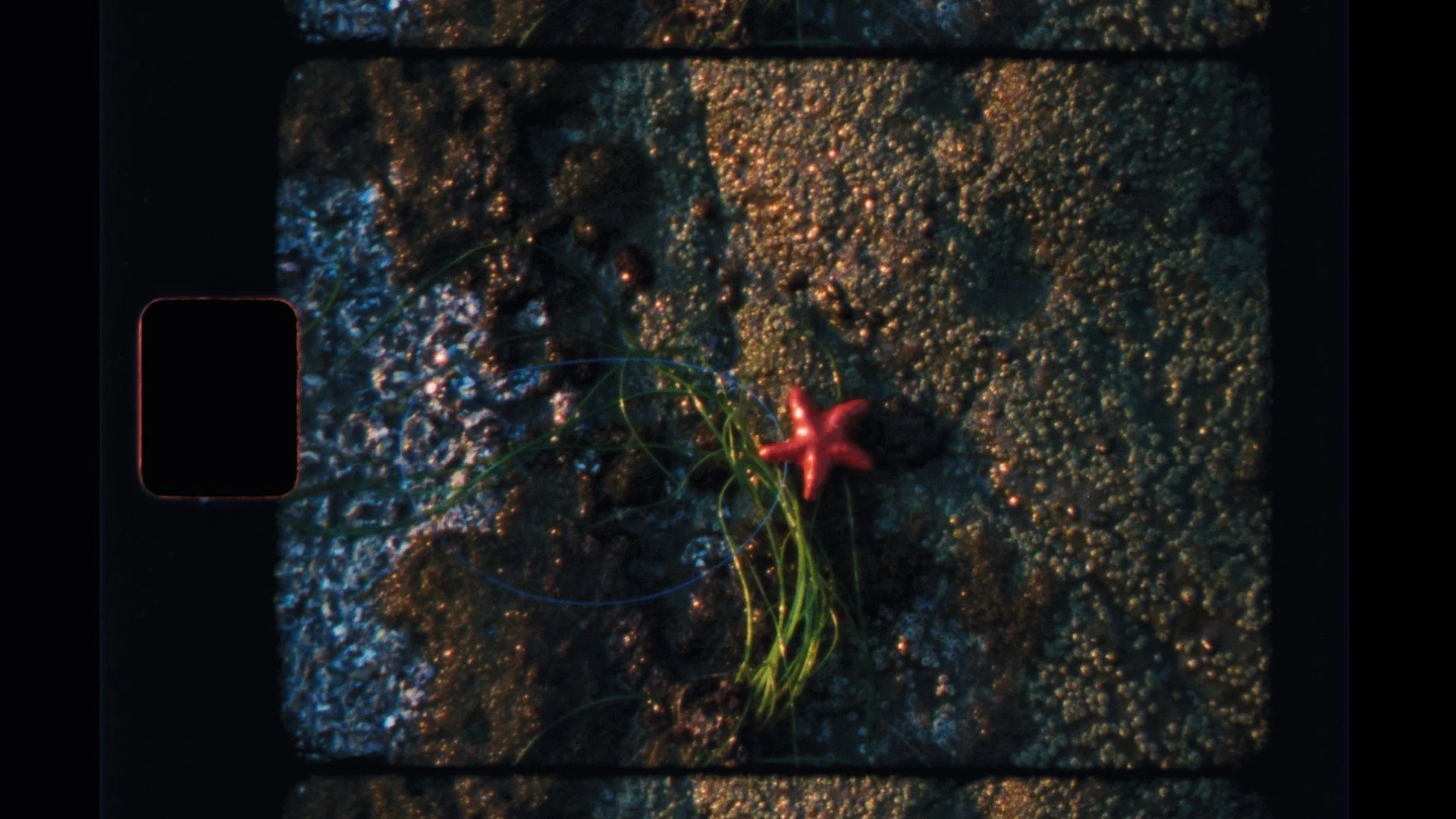 morestills_1.1.6 copy.jpg