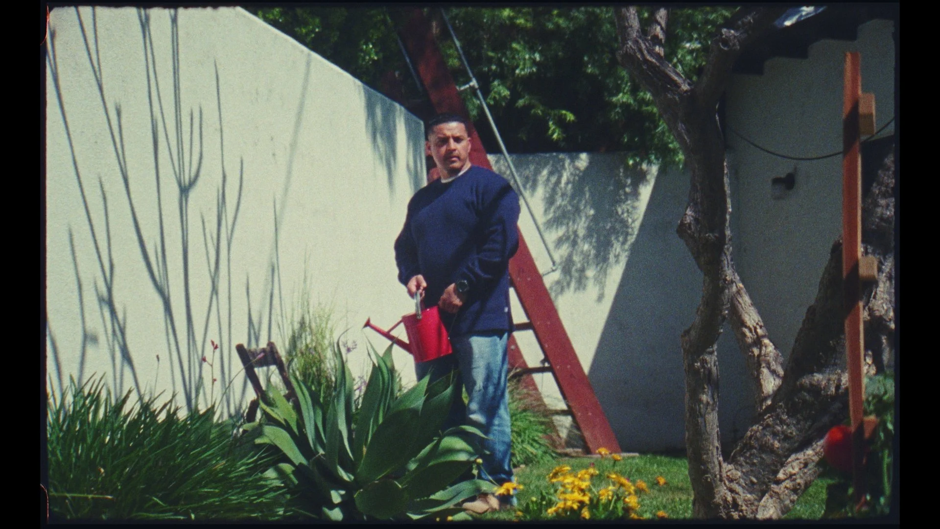 stills yellow tomatoes_1.2.7.jpg