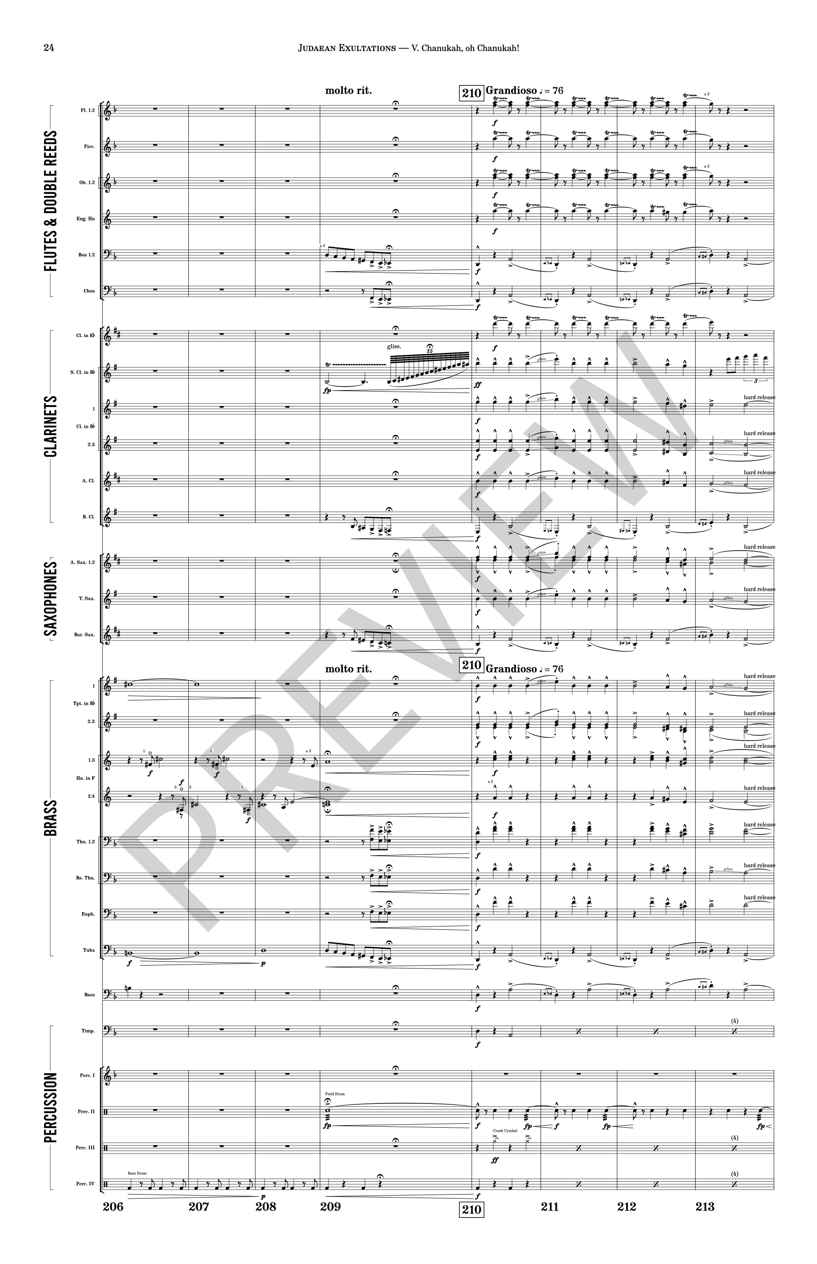 01 - Full score - JUDAEAN EXULTATIONS - 030.png
