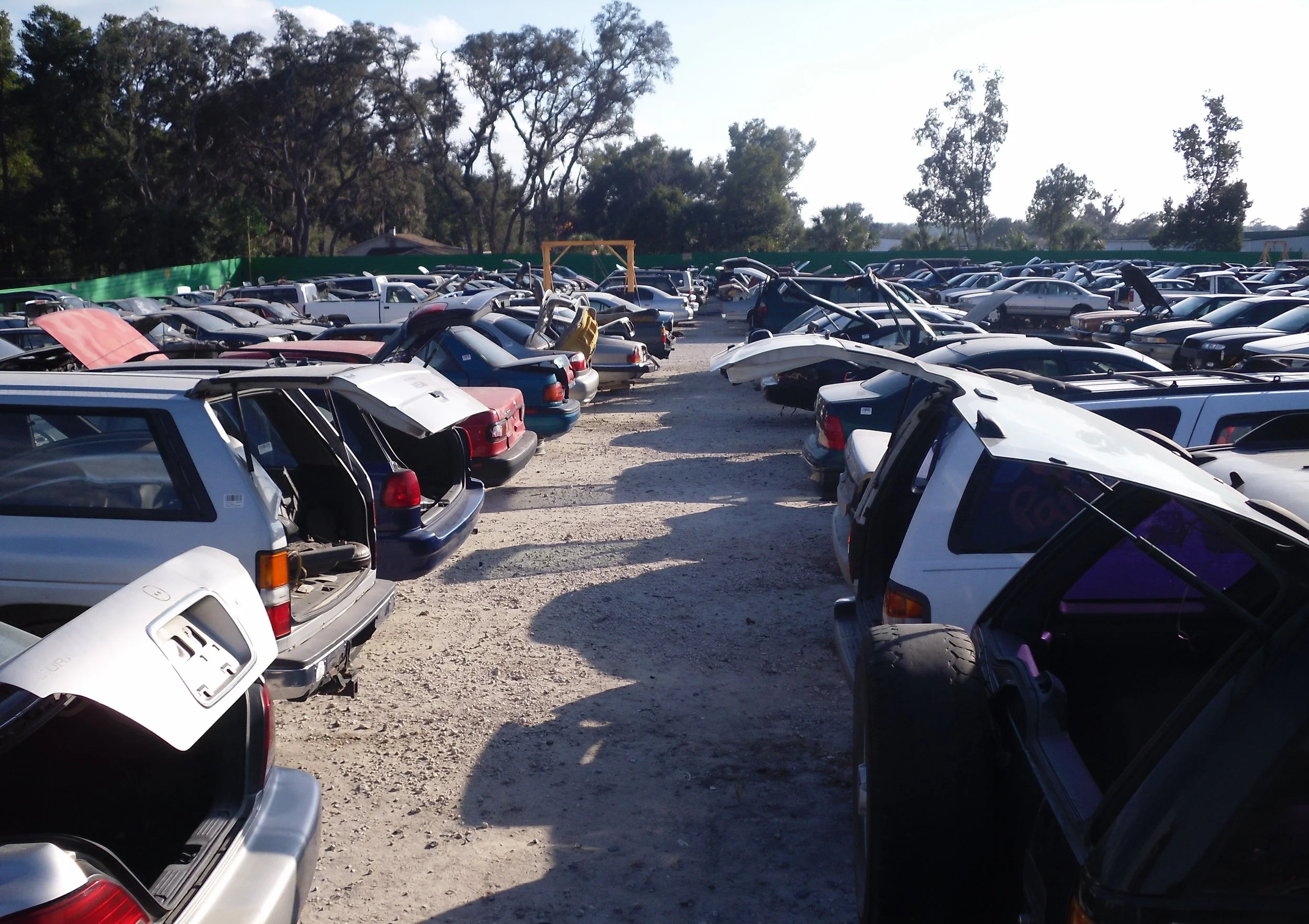 Junk Yard 2-2010.jpg