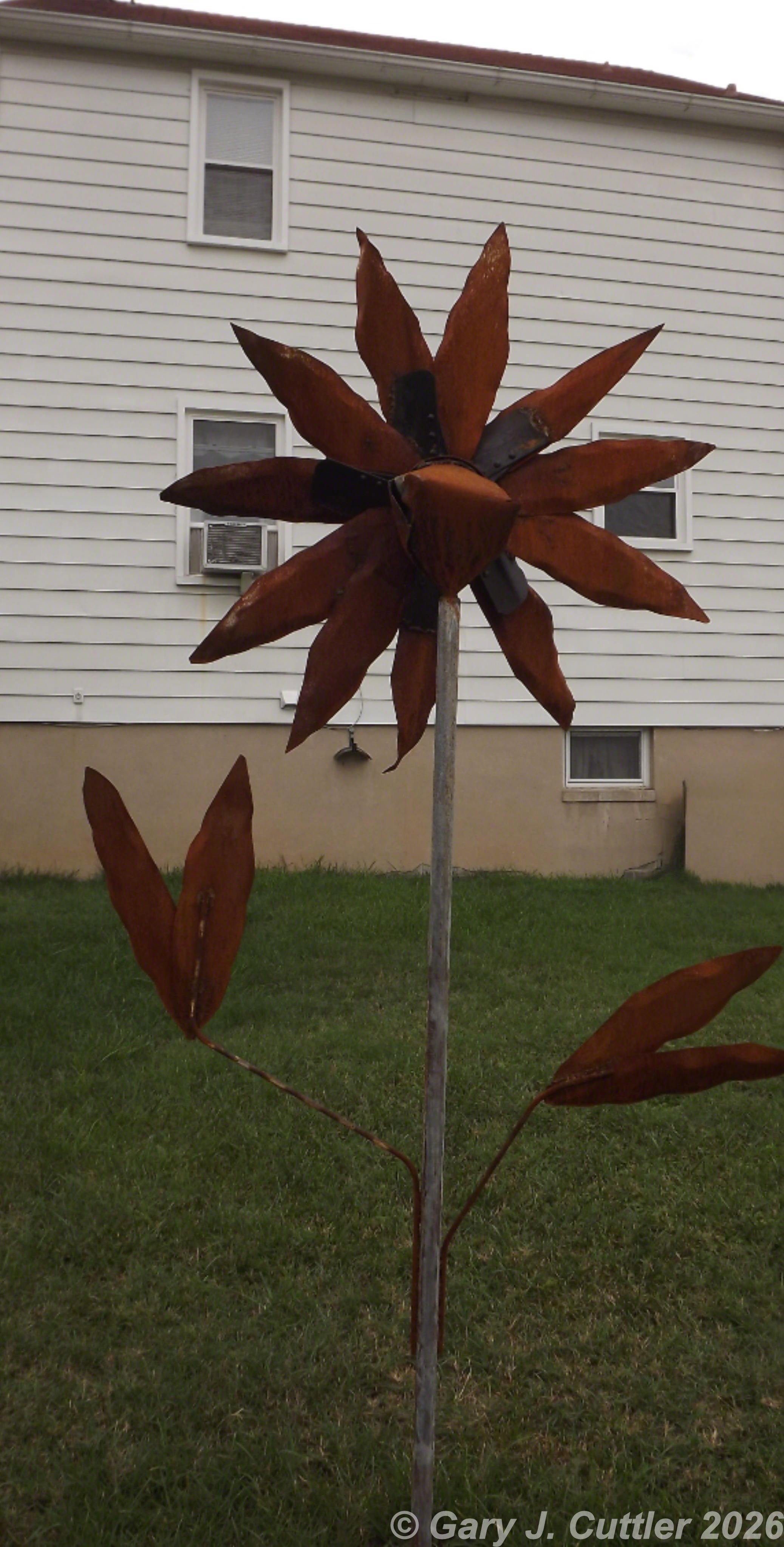 6' Sunflower - 2012
