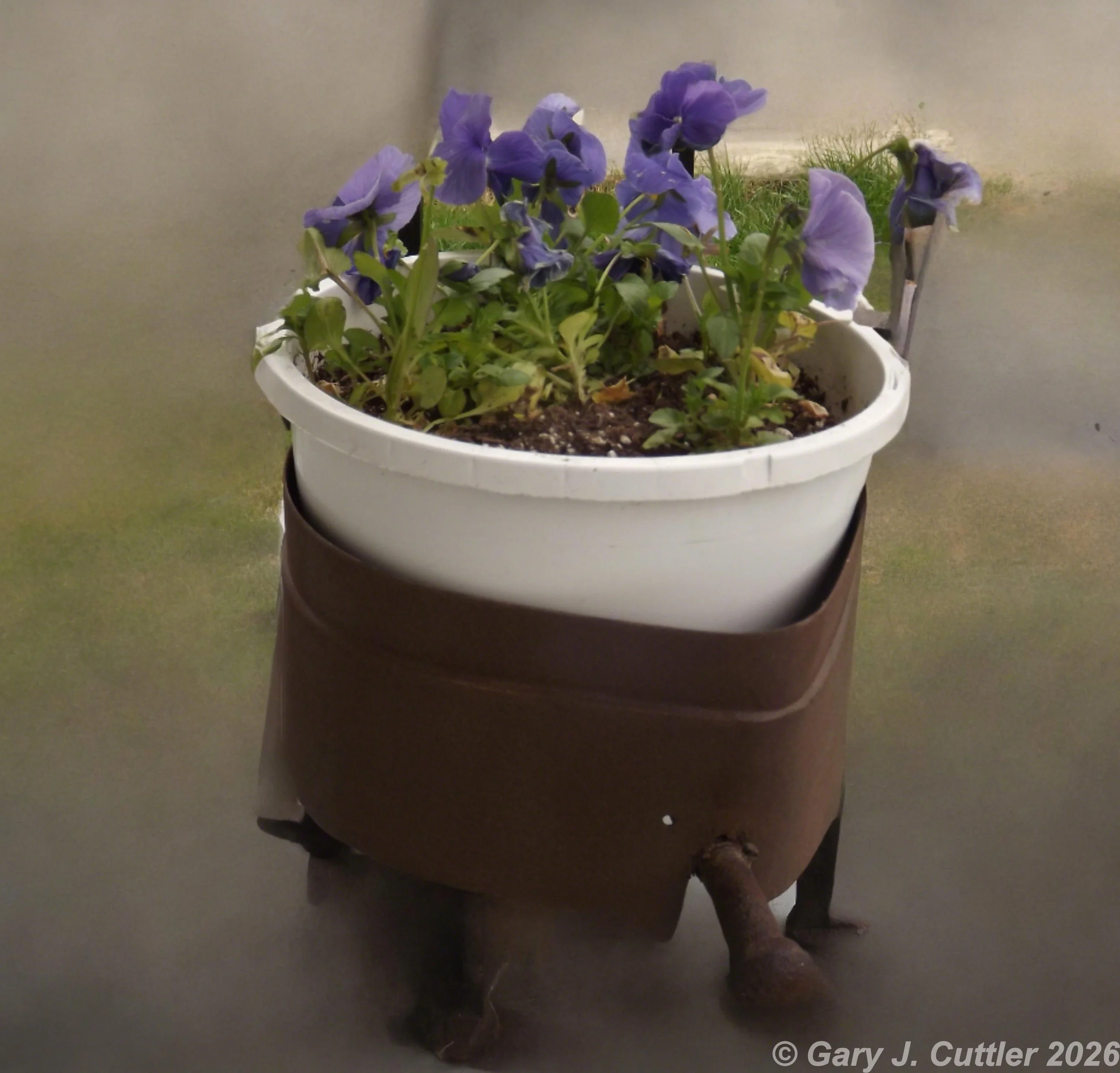 Turtle Flower Pot - 2016