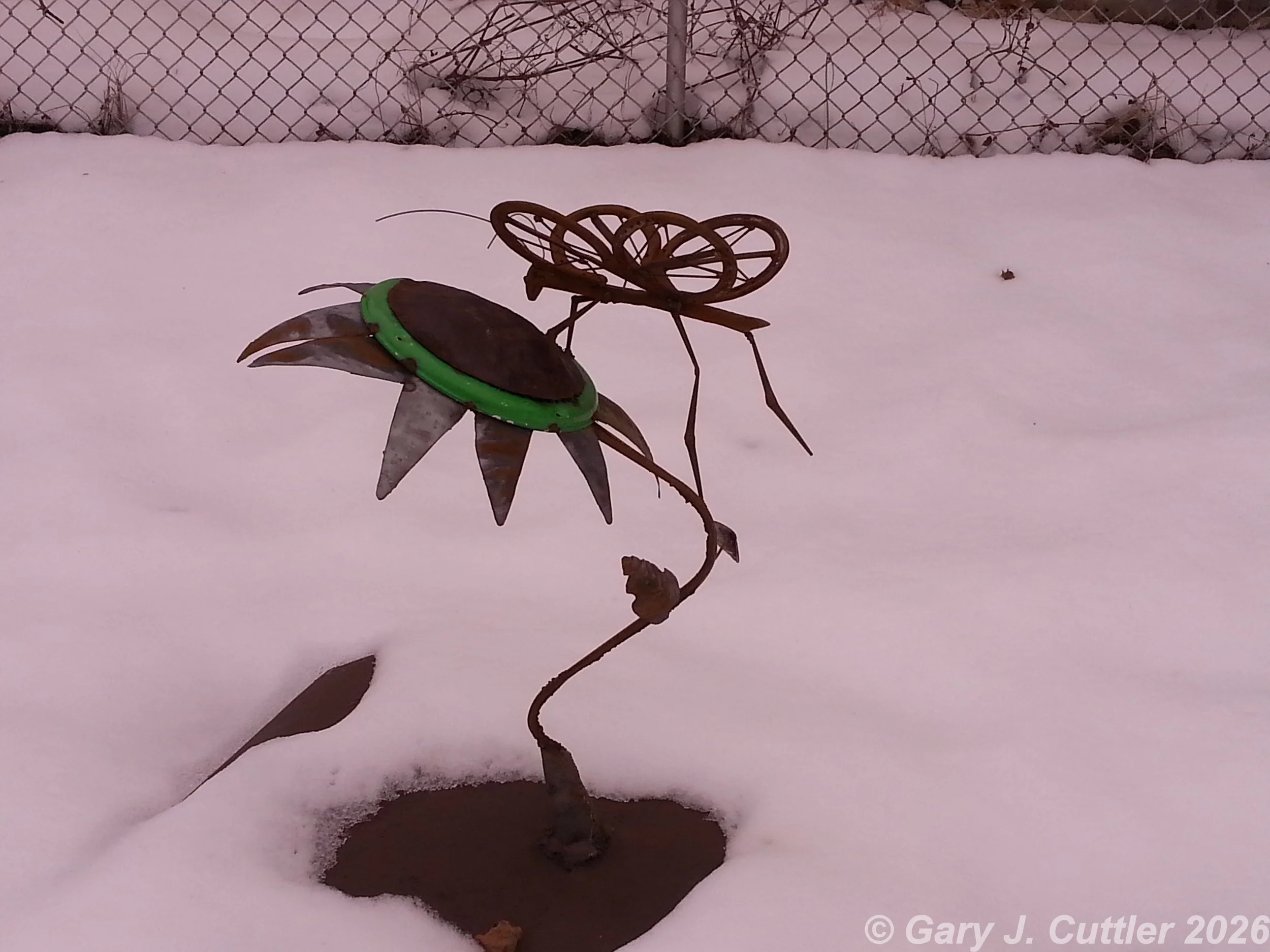 Springtime - 2012