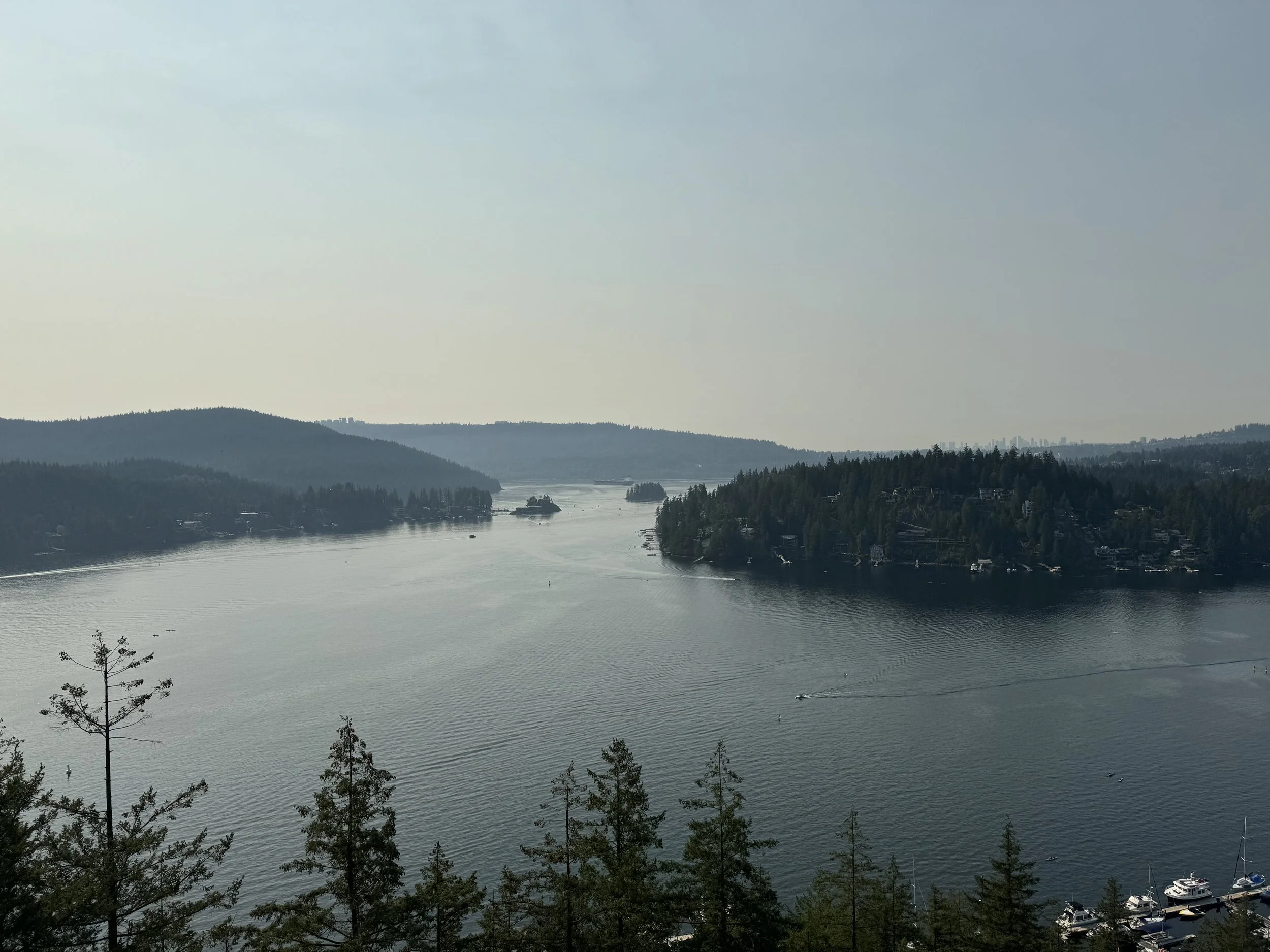 The view of Indian Arm from a height