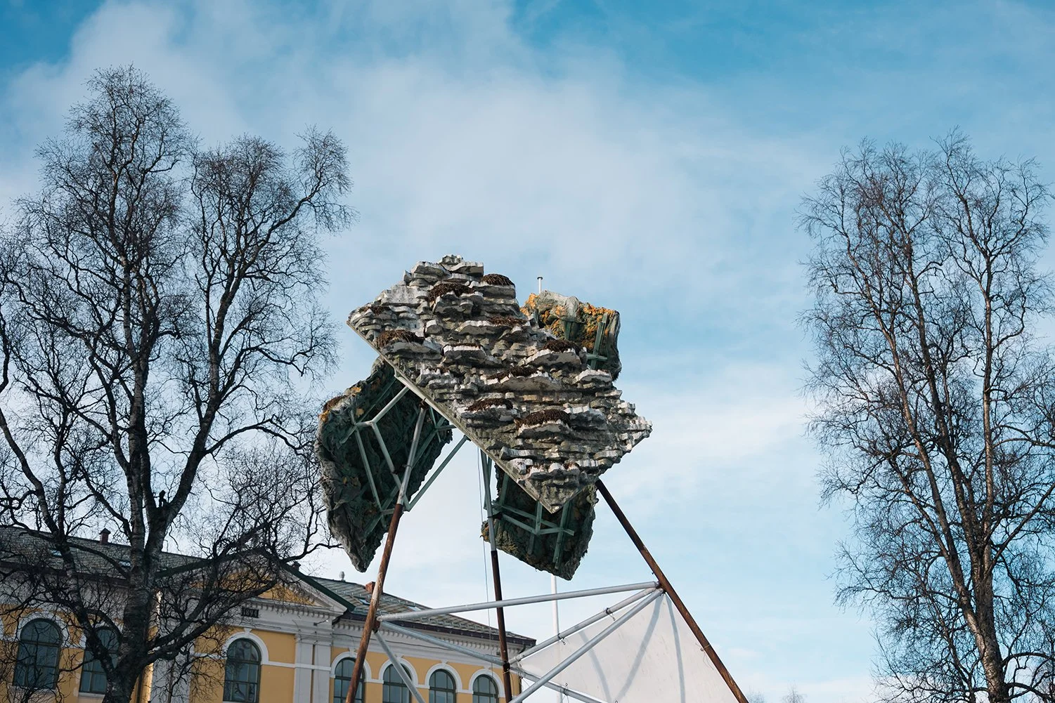 Rissa Citizen Science - Mitigating the impact of human-wildlife conflict on black-legged  kittiwakes by installing purpose-built nesting sites in Tromsø, Norway.