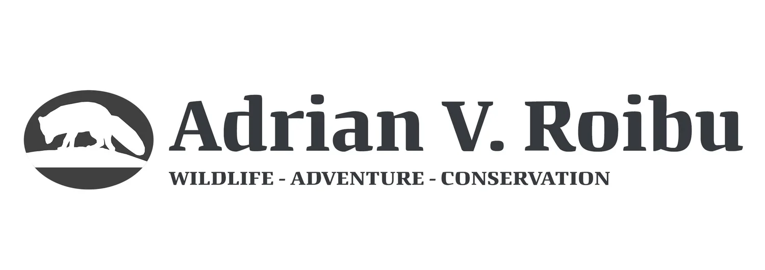 Adrian-Valentin Roibu
