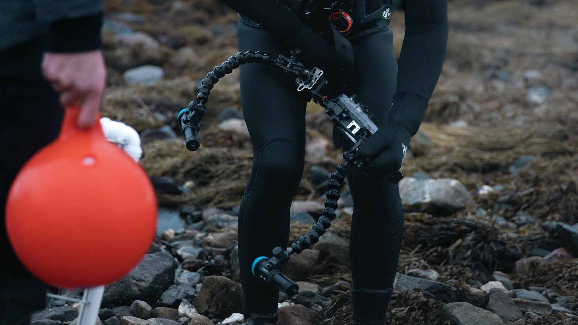 Rissa Citizen Science - Monitoring and controlling sea urchin population density, in order to limit its impact on local kelp forests in Tromsø, Norway.