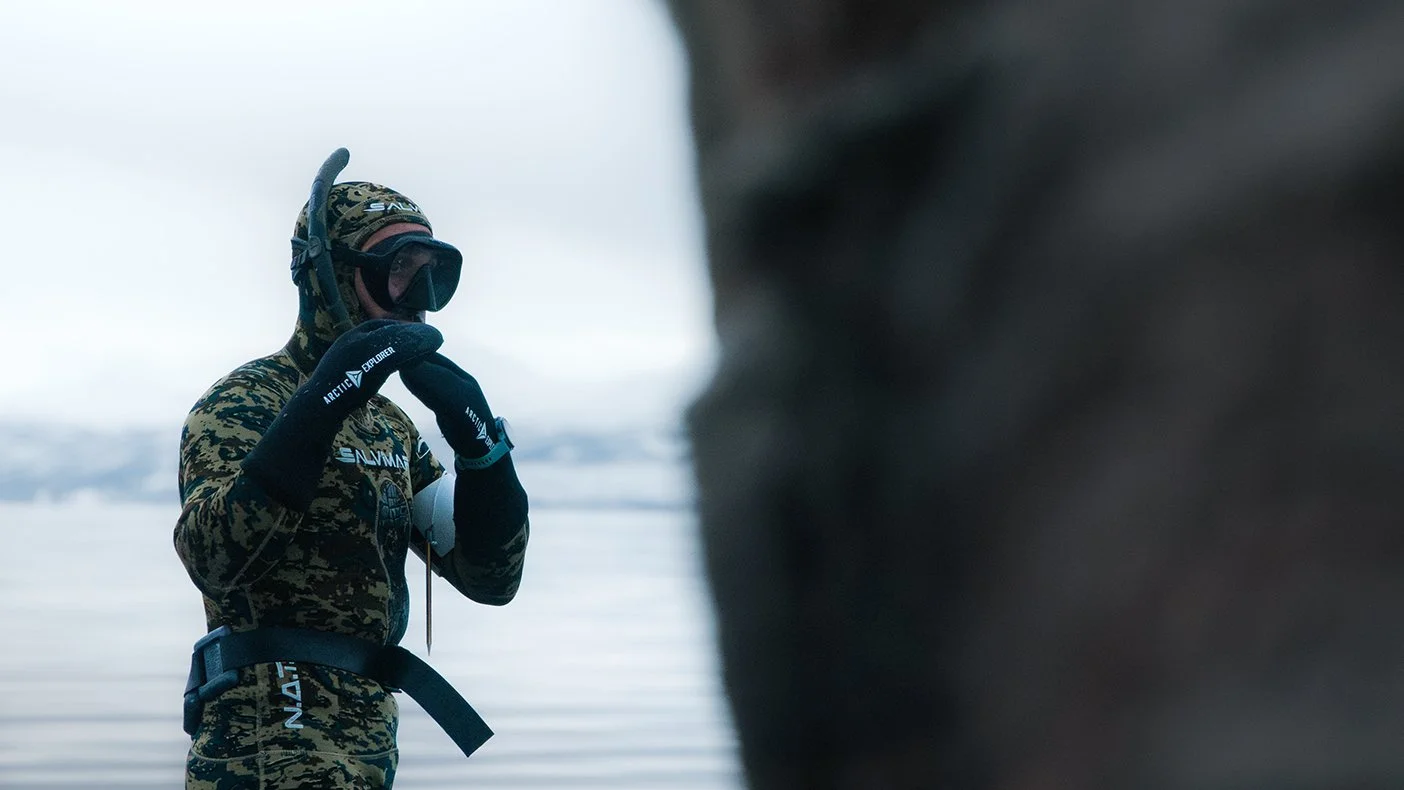 Rissa Citizen Science - Monitoring and controlling sea urchin population density, in order to limit its impact on local kelp forests in Tromsø, Norway.