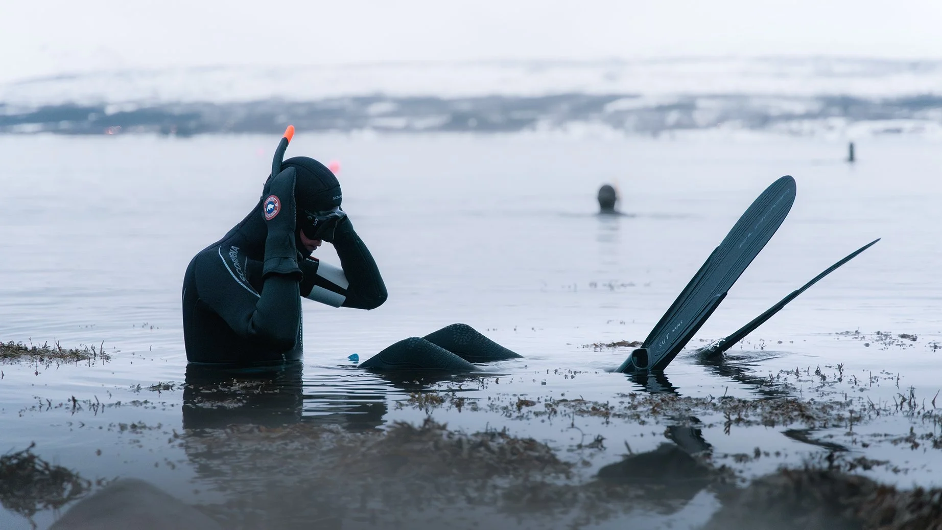 Rissa Citizen Science - Monitoring and controlling sea urchin population density, in order to limit its impact on local kelp forests in Tromsø, Norway.