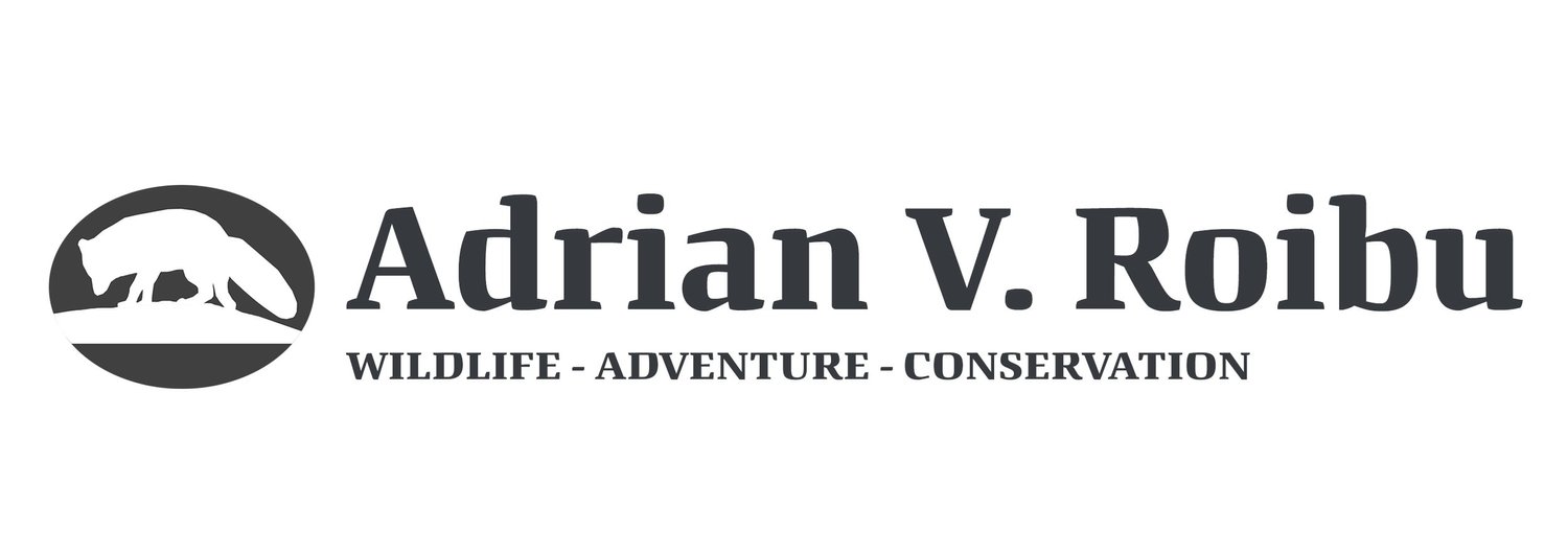Adrian-Valentin Roibu