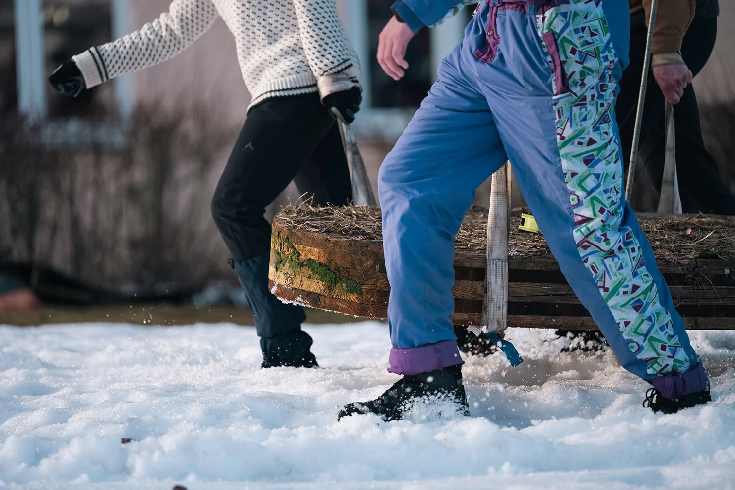 Rissa Citizen Science - Mitigating the impact of human-wildlife conflict on black-legged  kittiwakes by installing purpose-built nesting sites in Tromsø, Norway.