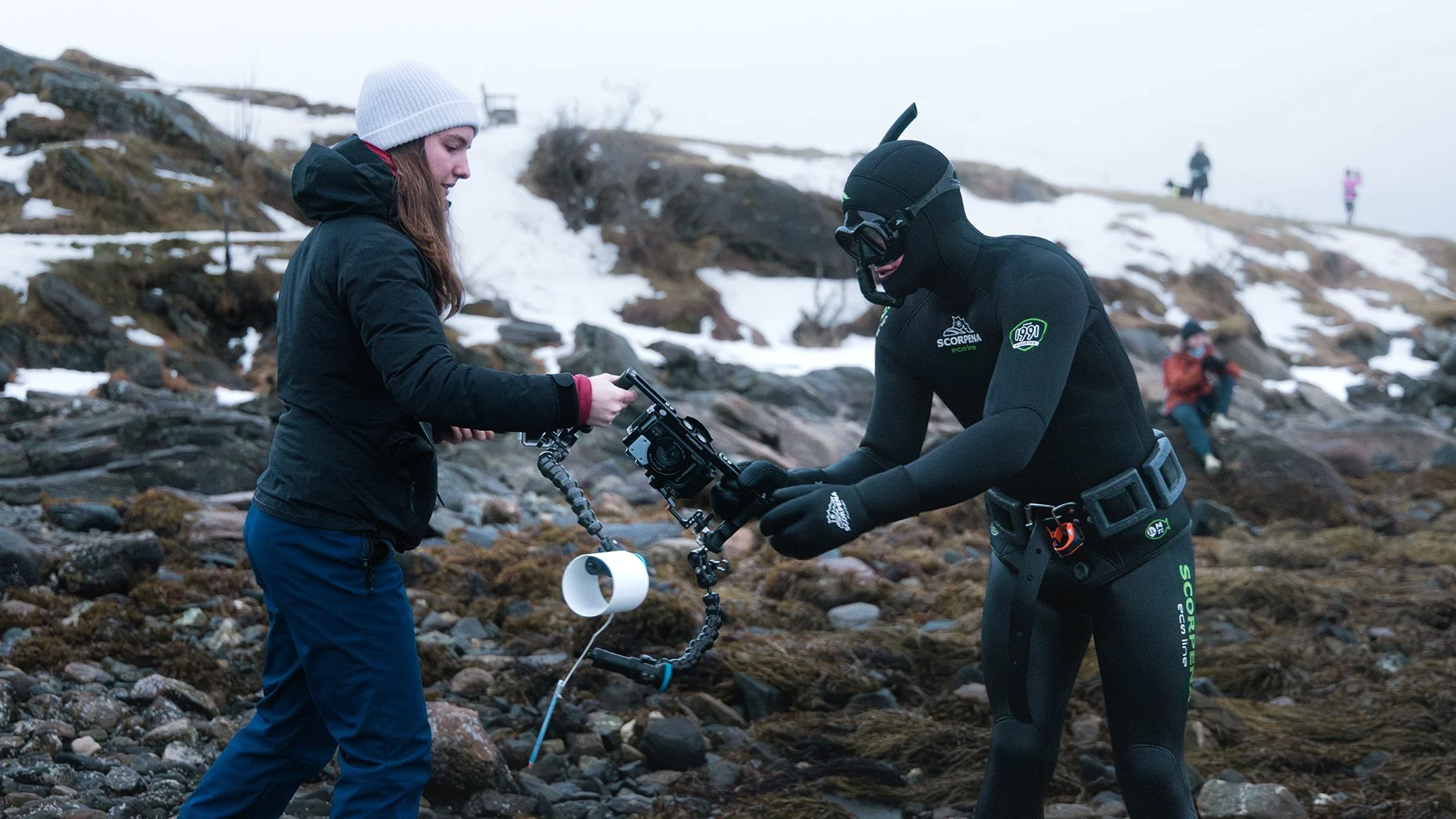 Rissa Citizen Science - Monitoring and controlling sea urchin population density, in order to limit its impact on local kelp forests in Tromsø, Norway.
