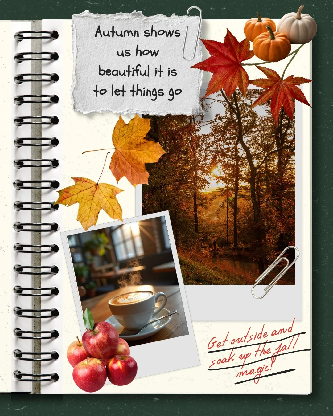 🍁 The air is crisp, the leaves are glowing, and fall fun is in full swing! Whether you&rsquo;re cheering on the riders at the Ram Rodeo Finals or exploring the Fall Home Show here at the Fairgrounds, it&rsquo;s the perfect weekend to get outside and