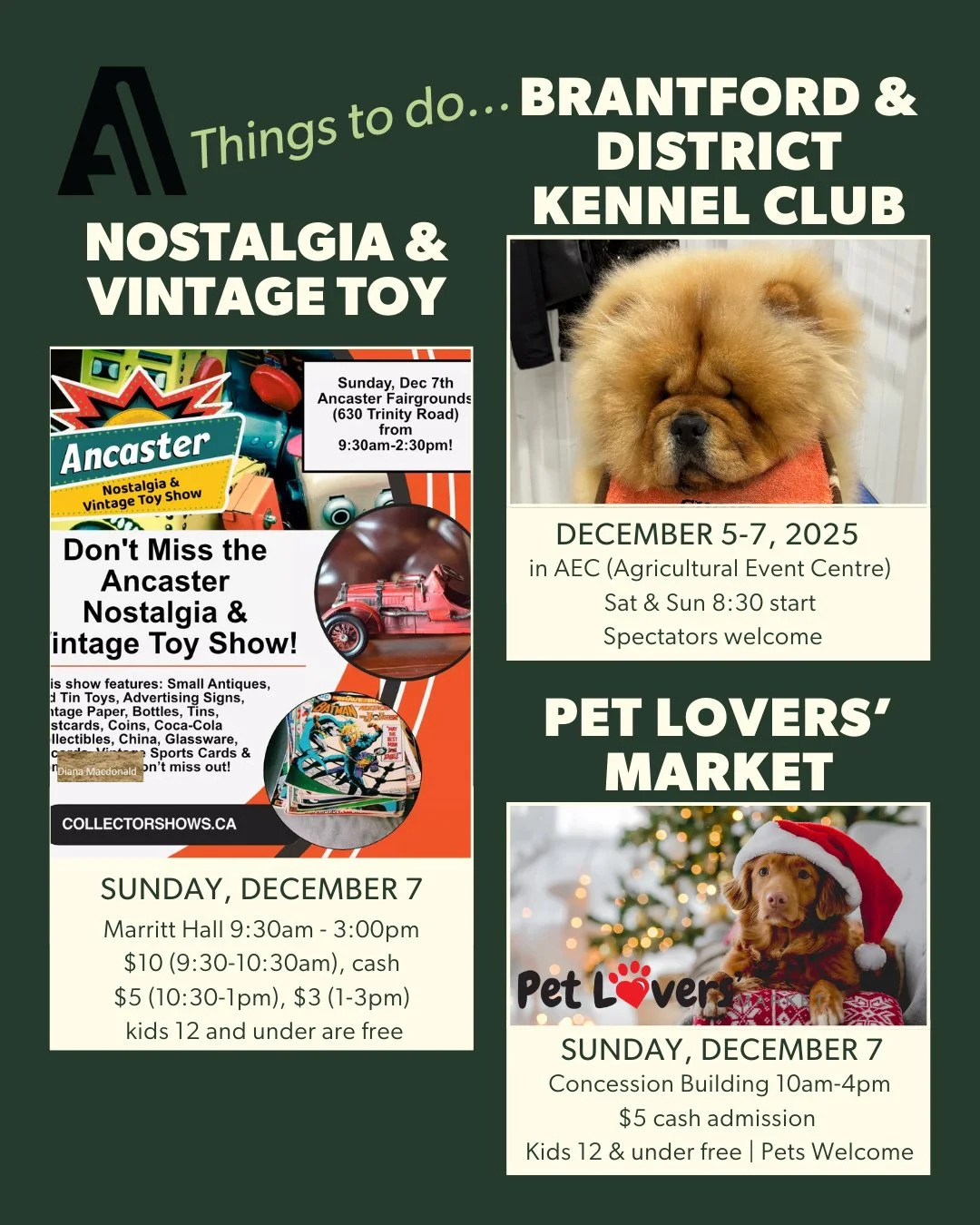 🎄🐾✨ Things To Do This Weekend at the Fairgrounds!⁠
Lots happening this Sunday, perfect for shoppers, collectors, and dog lovers alike!⁠
⁠
🐕🏆 Canada&rsquo;s Original Canine Christmas Classic.  All-Breed Dog Shows (Dec 5&ndash;7, Marritt Hall)⁠
Top
