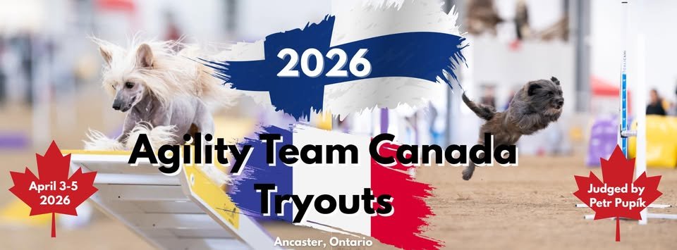 Agility Team Canada Tryouts