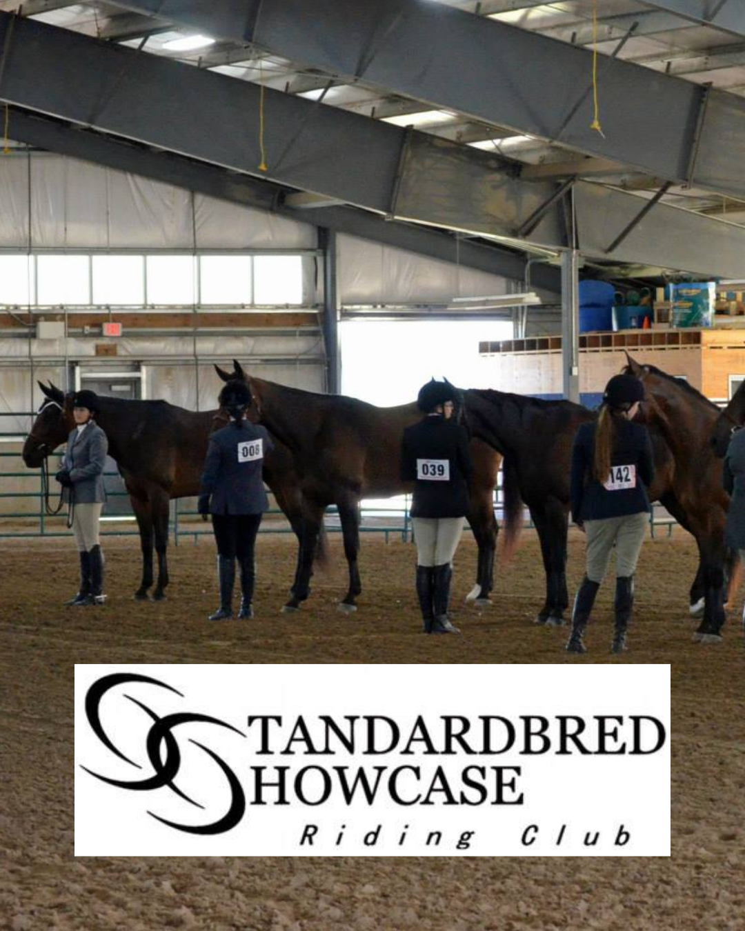 Ontario Standardbred Horse Show Series