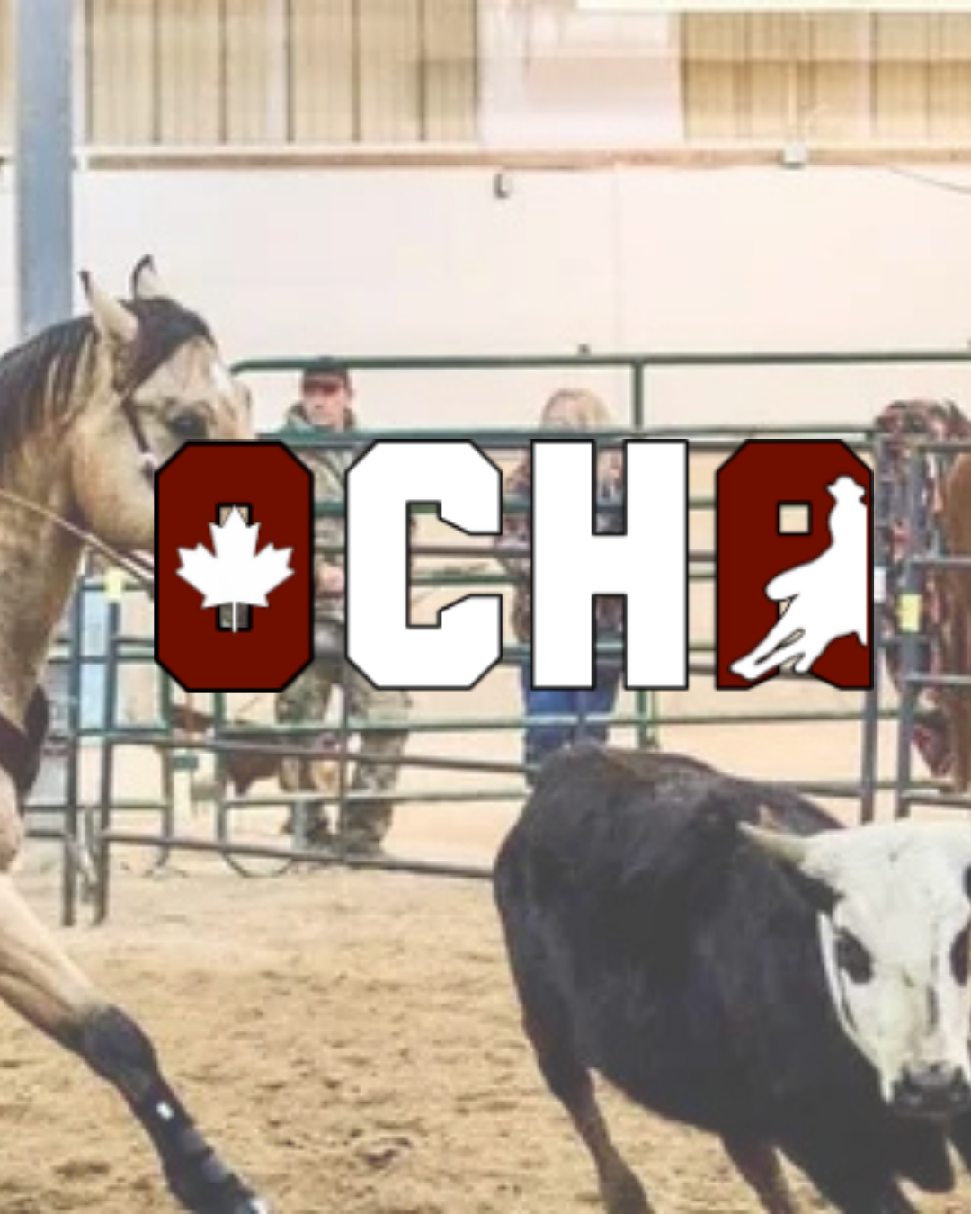 Ontario Cutting Horse Association 
