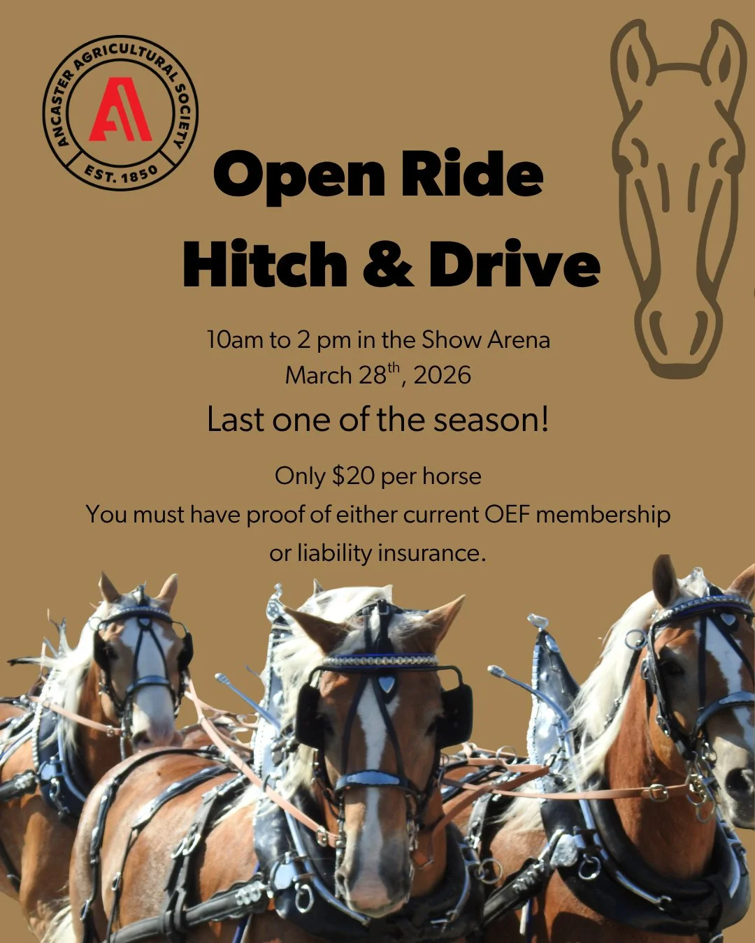 Last Open Ride Hitch &amp; Drive for the season!⁠
⁠
🐴Saturday, March 28th 10 am to 2pm in the Show Arena at the Ancaster Fairgrounds.⁠
⁠
🐴Only $20/horse⁠
⁠
See you there!