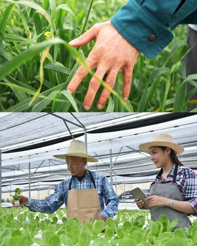 🎓 Could this be you?⁠
⁠
💰 $1,000 Scholarship⁠
📍 Hamilton Resident⁠
📚 Studying Agriculture⁠
⁠
If you're pursuing a diploma or degree in agriculture, the Hamilton-Wentworth Federation of Agriculture wants to help support your education.⁠
⁠
To apply