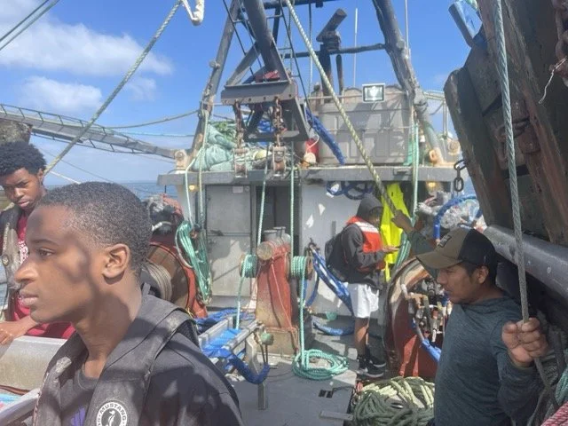 IMG_1491 Medium.jpeg