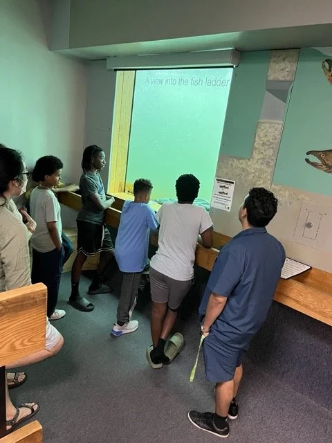 IMG_6741 Medium.jpeg