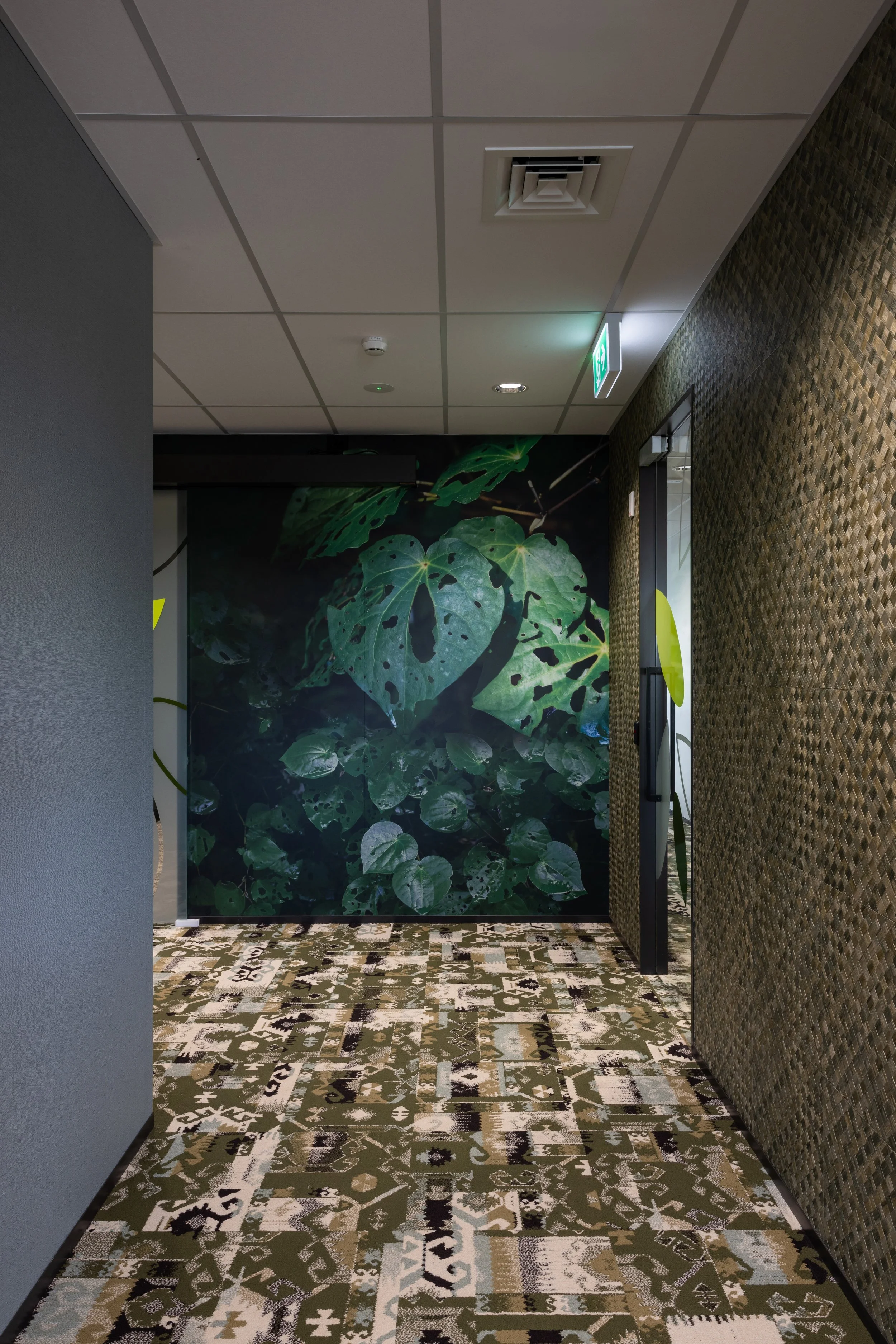 Canopy Imaging 12.jpg