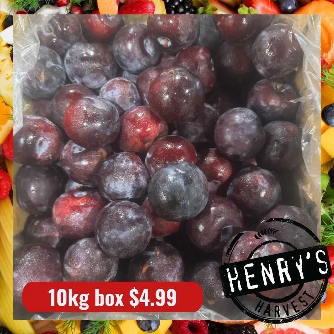 🍑 Queen Garnet Plums &ndash; Amazing Value! 🍑

10kg box &ndash; $4.99 per box That&rsquo;s just 49&cent; per kilo! 😍

📍 Available at both stores
⏳ While stocks last

📍 Casula
Shop 11, 493&ndash;509 Hume Highway, Casula NSW 2170

📍 Campbelltown 