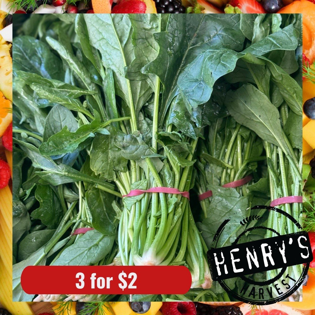 🌿 SUNDAY SPECIALS AT HENRY'S HARVEST! 🌿

🥬 English Spinach &mdash; 3 bunches for $2
🫛 1kg Pack Beans &mdash; 2 for $3

📍 Casula
Shop 11, 493&ndash;509 Hume Highway, Casula NSW 2170

📍 Campbelltown Mall
271 Queen Street, Campbelltown NSW 2560

⏰