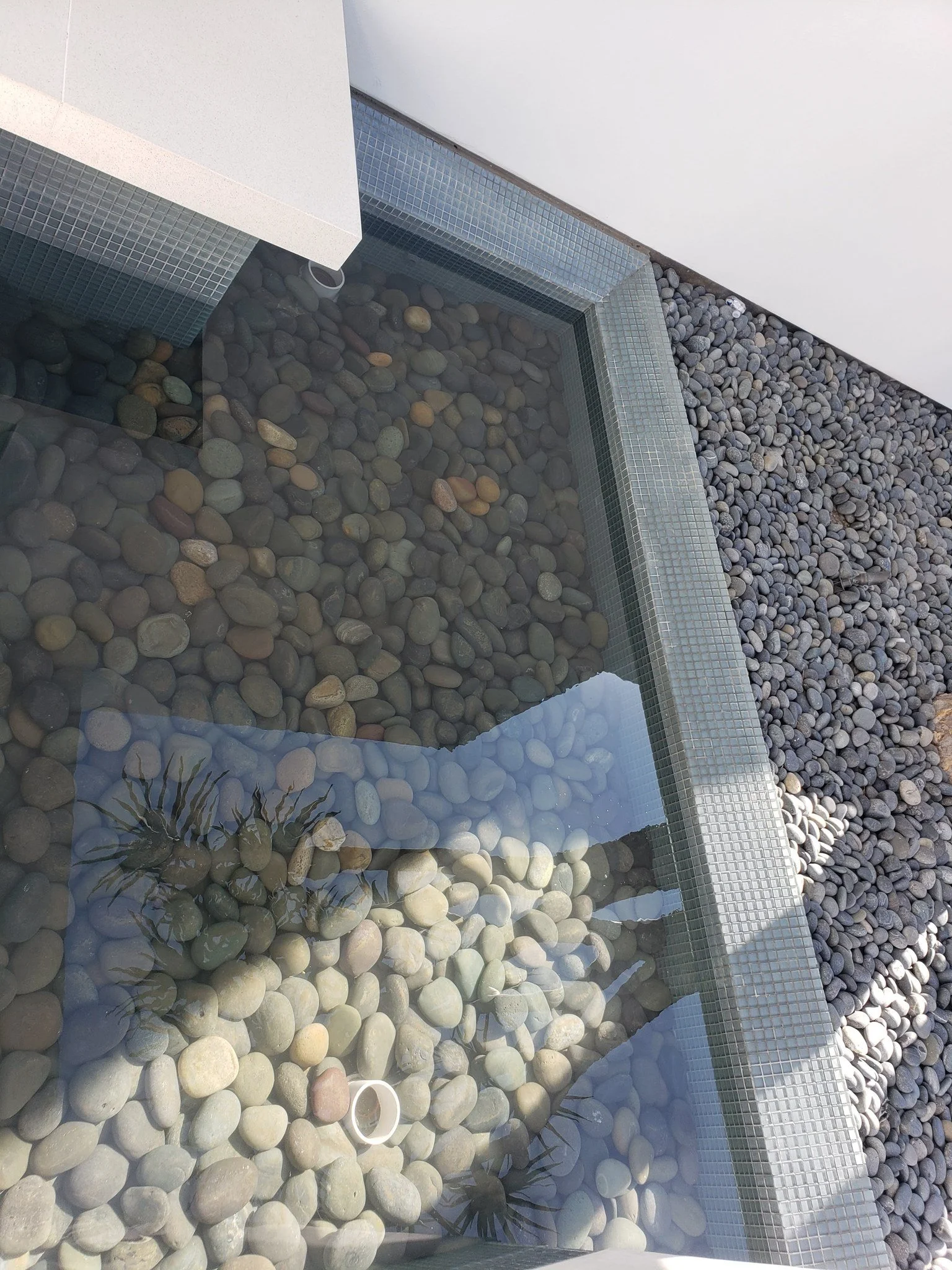 pools-tile-project-06.jpg