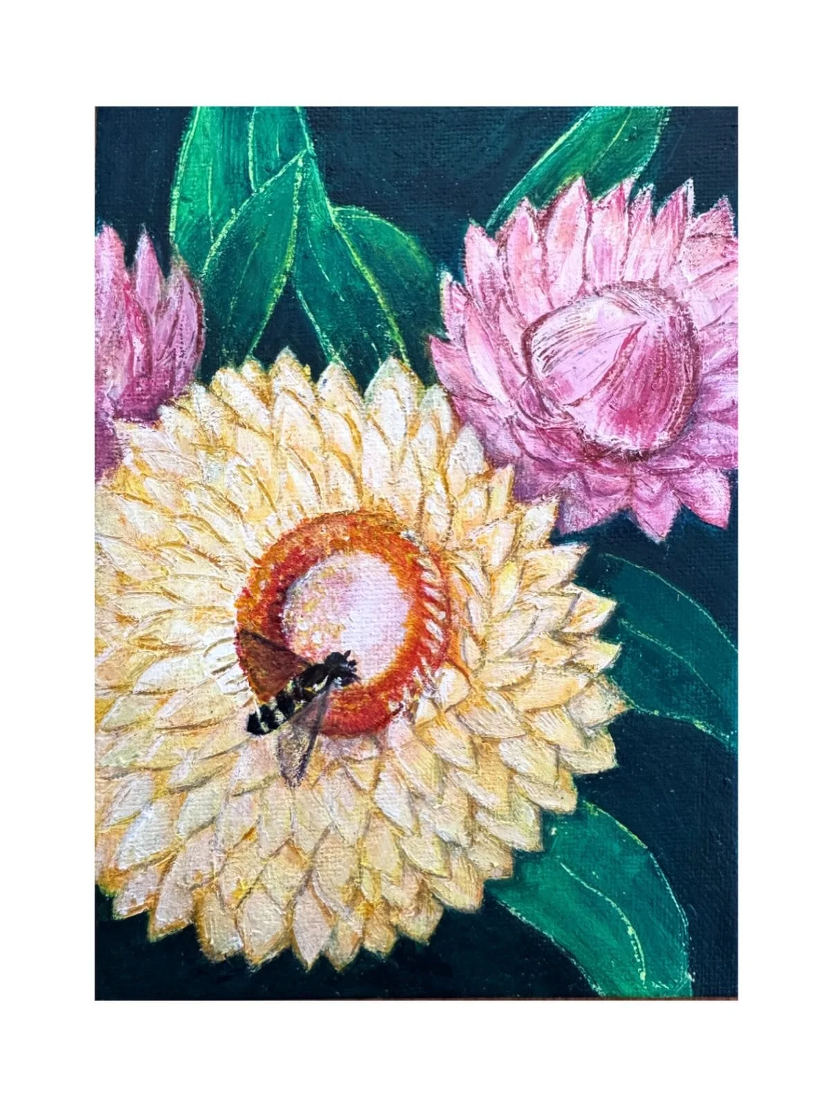 Last minute shopping? Give the gift of original art this Christmas. 

5 x 7&rdquo; original artworks 
Unframed.

1. Bee-utiful Paper Daisies $80
2. Bluebird of happiness $65
3. Black Cockatoo Portrait $65
4. Fairy Wren Portrait $65

Can provide in sh