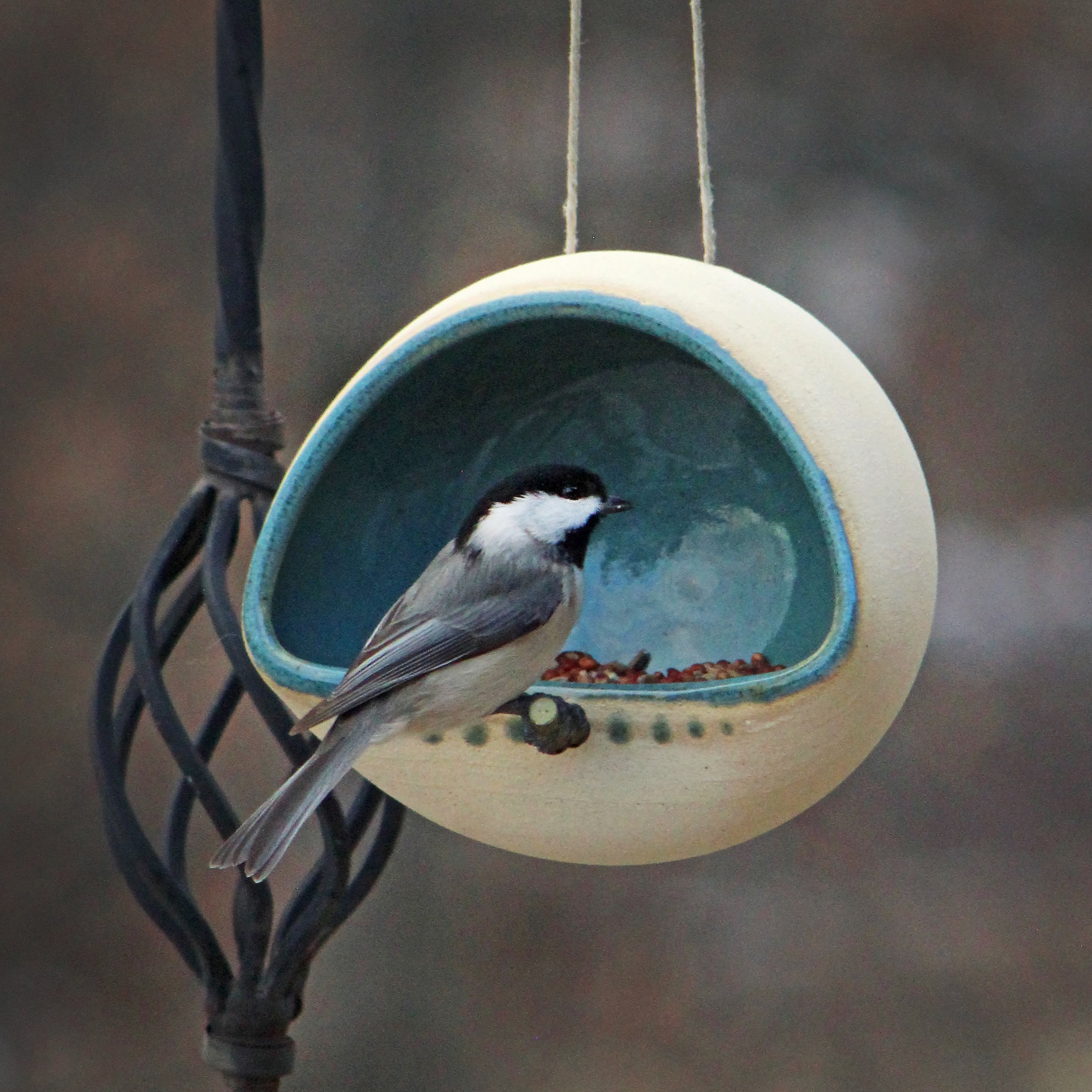 BirdFeeder_checkadee.jpg