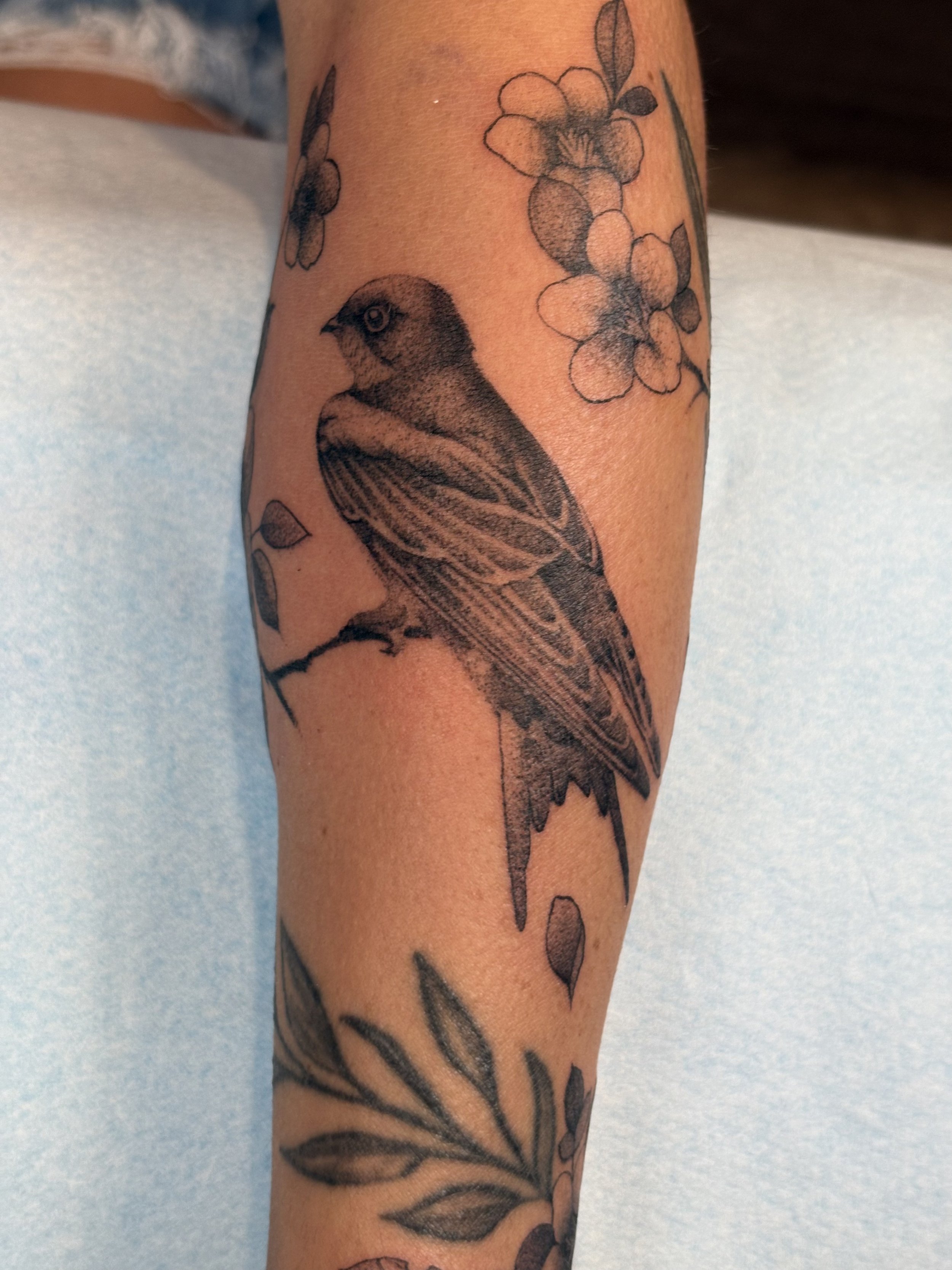 Tattoo of a bird perched on a branch with flowers and leaves.