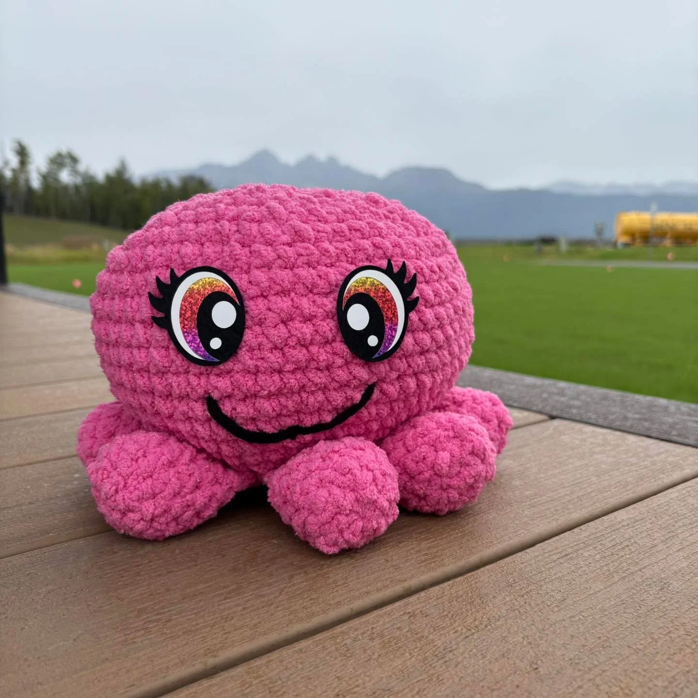 A crochet project for a friend who is now a long distance Aunt π₯°