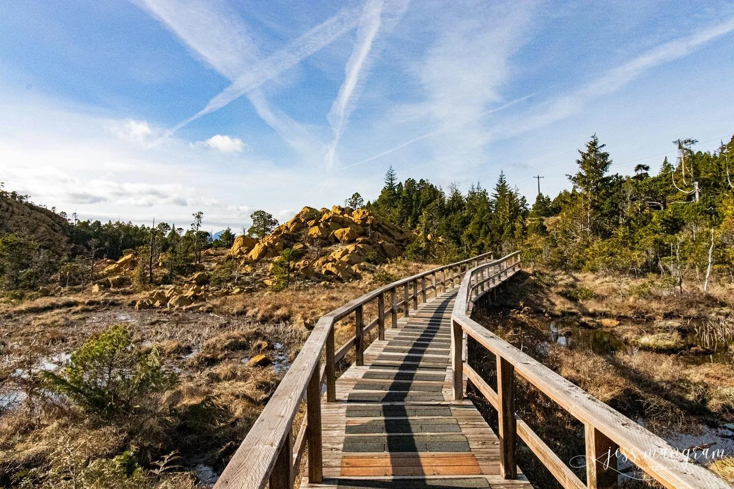 Yellow Hill Trail in Metlakatla. I have so many more pictures 🥰 but here&rsquo;s the first batch.