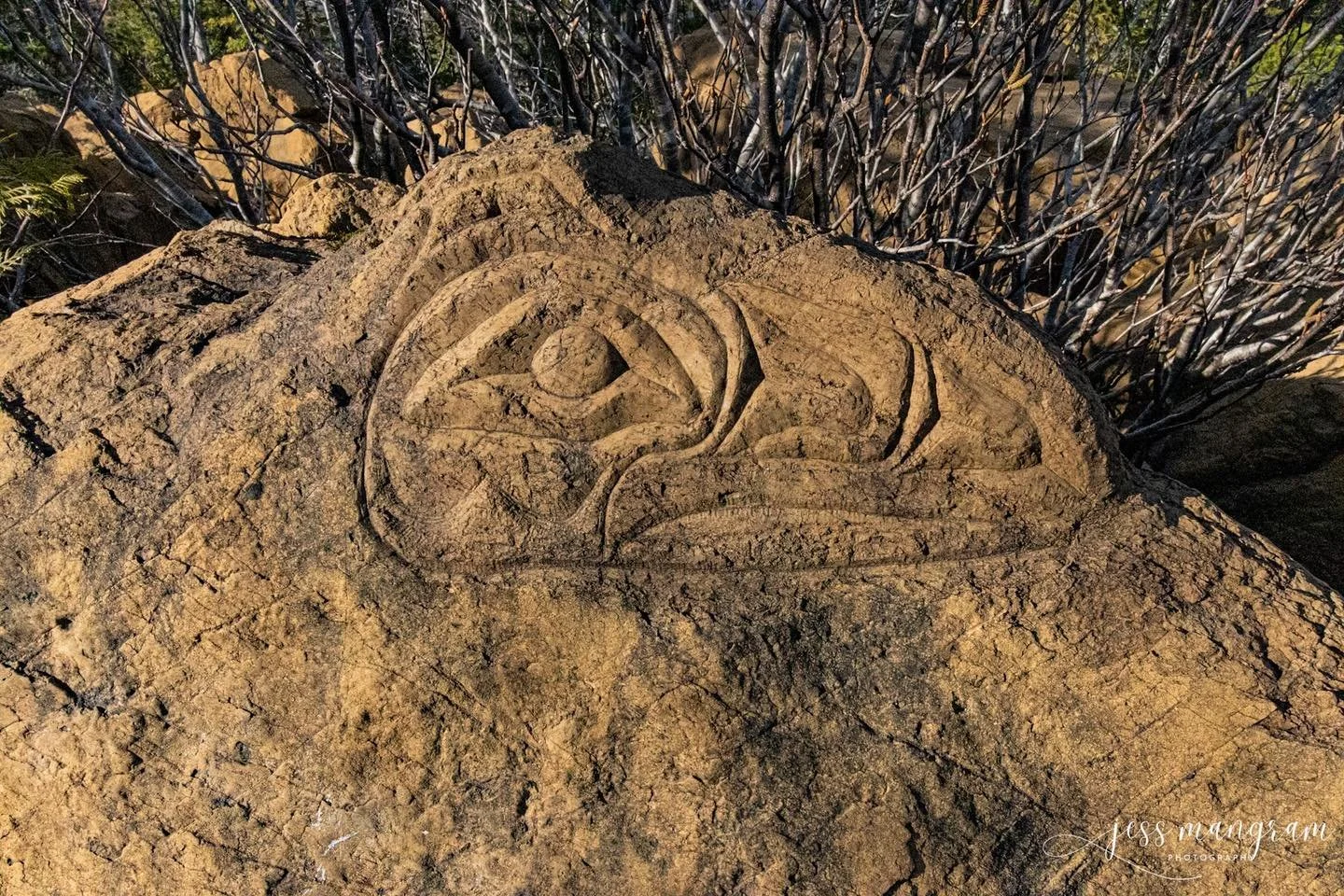 While we were hiking Yellow Hill, there were some carving done in the rocks. I have not done research yet to explain them better, but I will soon and circle back!
