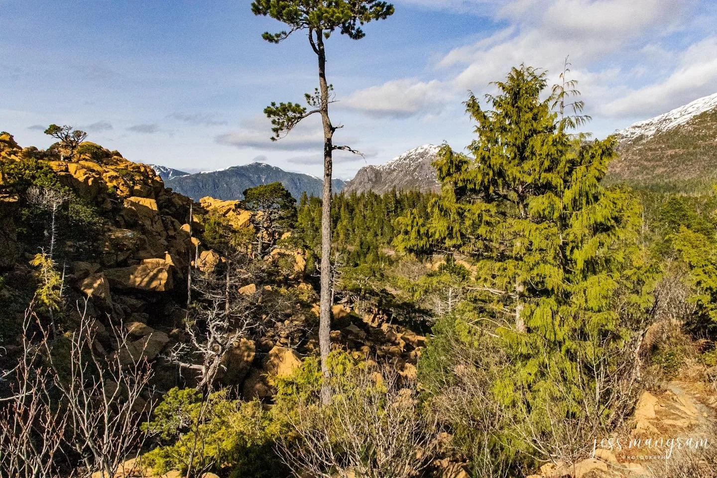 Between dissertation writing, and work being crazy, I forgot to share photos! Here&rsquo;s more from Yellow Hill!!