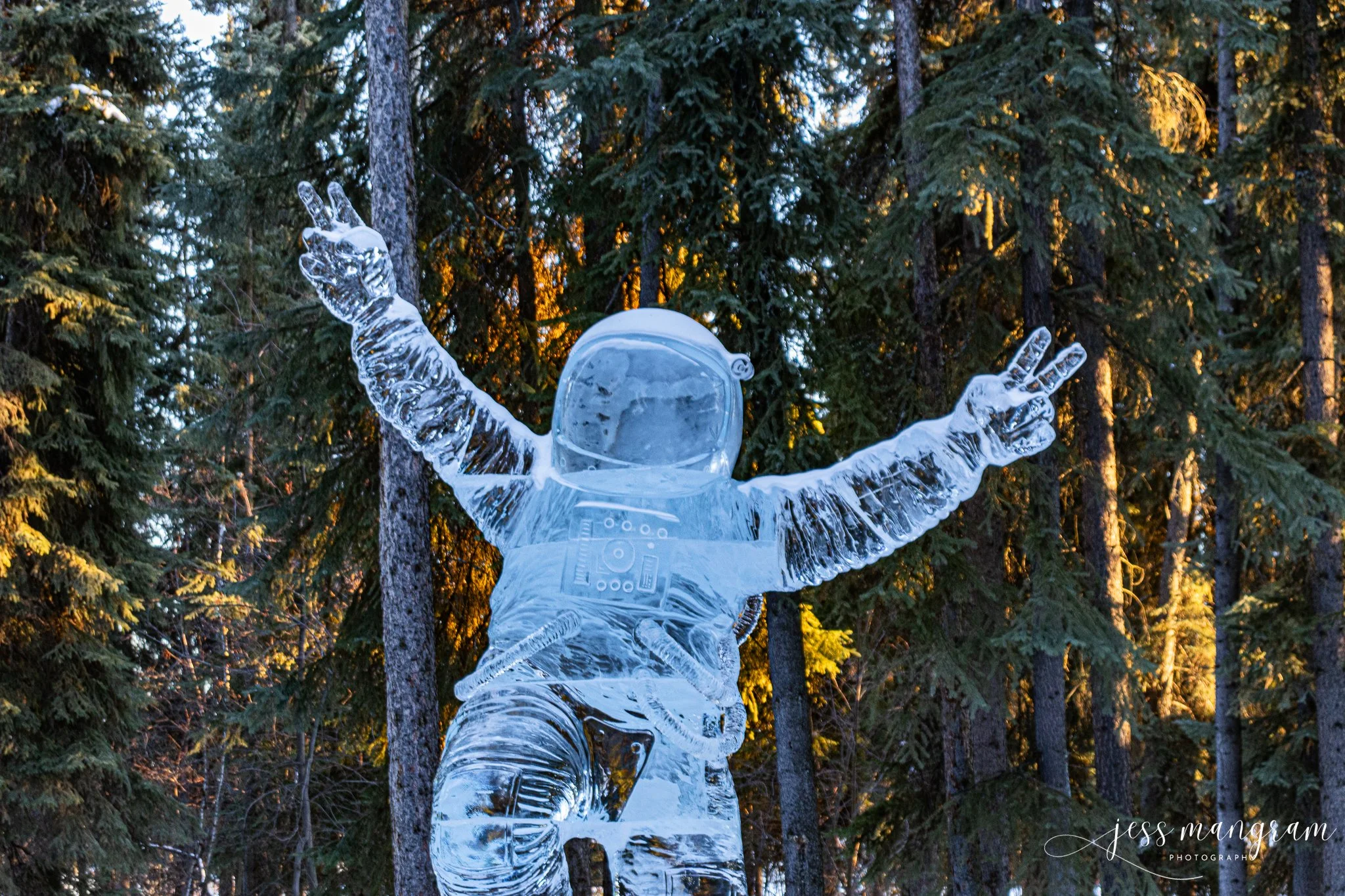 Ice Carving(s) Fairbanks