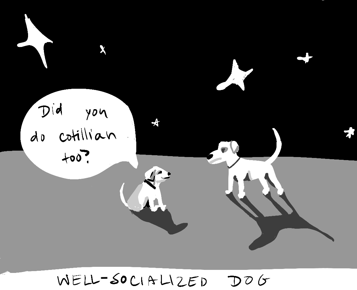 Lizzie Conklin_03-02-2023.png