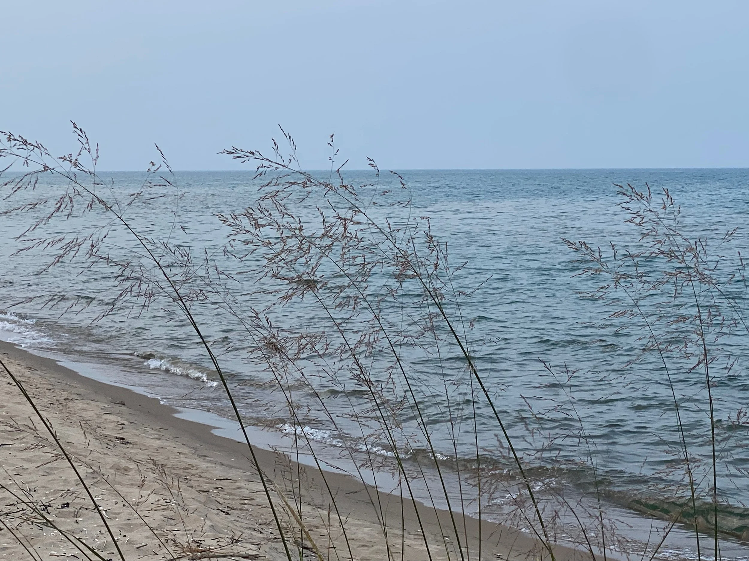 IMG_2570 (1) copy.jpeg