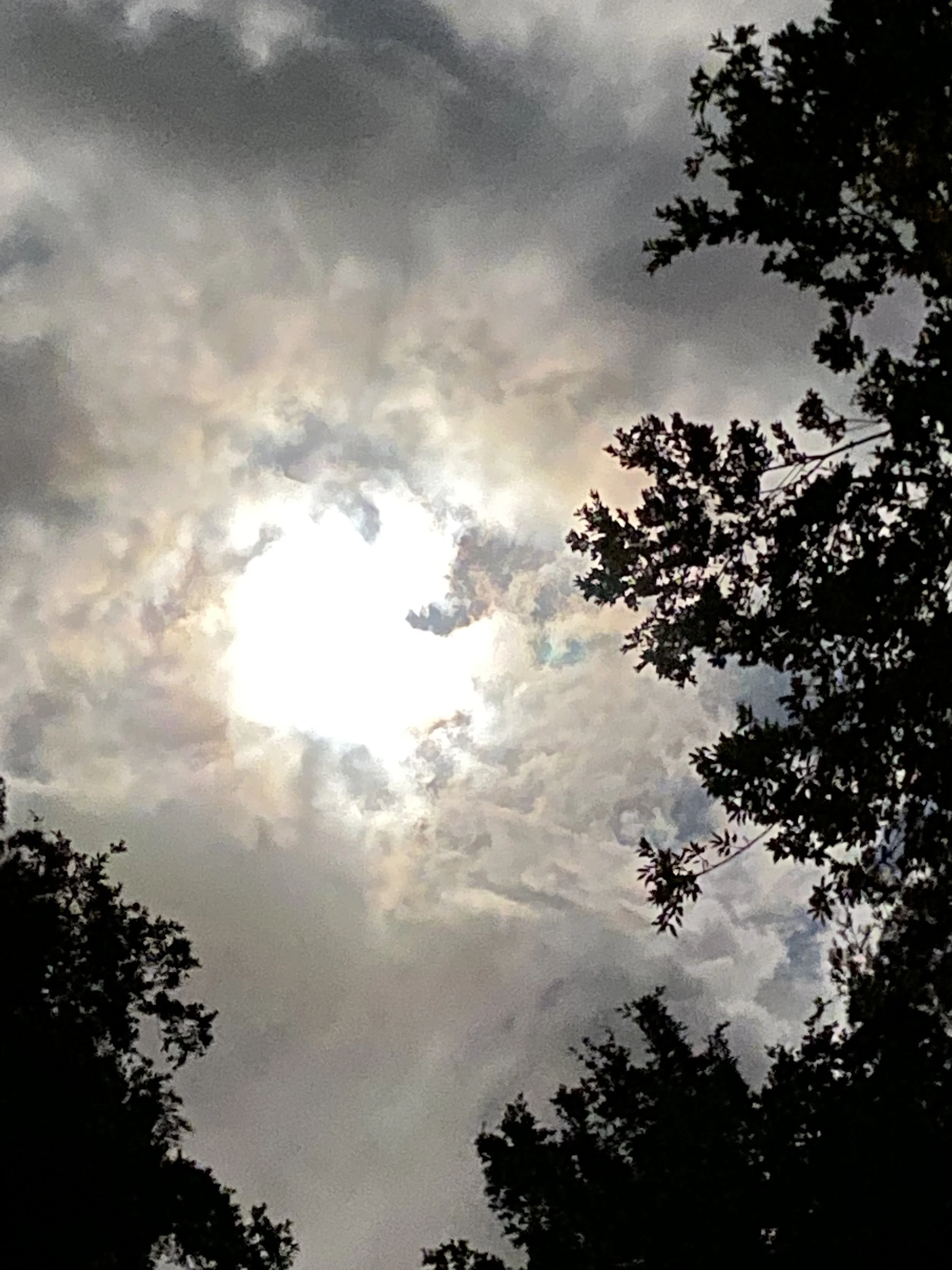 IMG_9439 copy-Edit.jpg