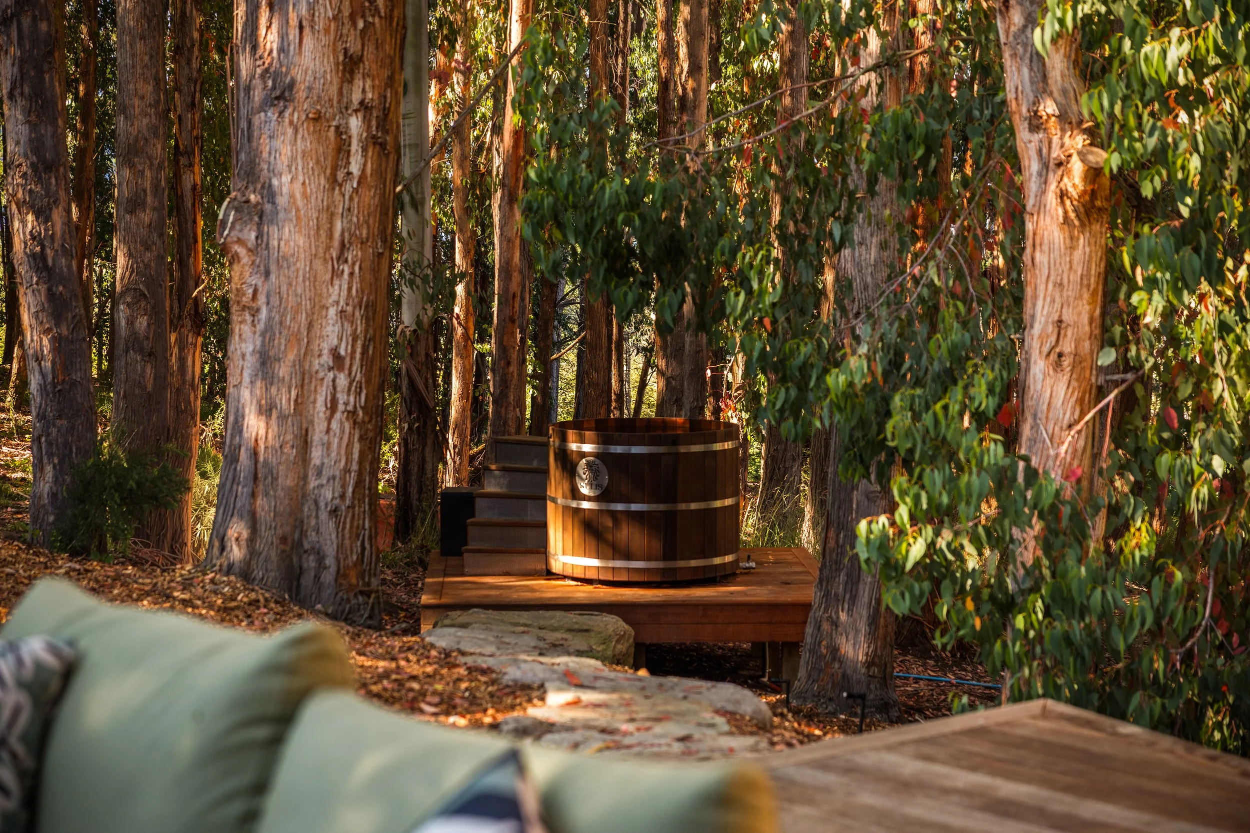 Spa Tub