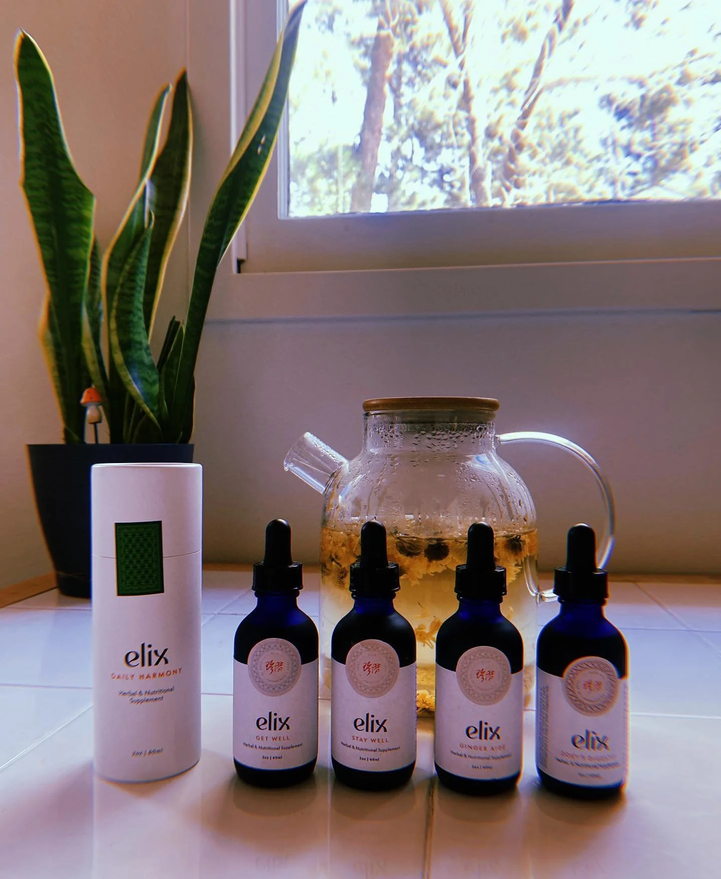 Excited to be joining Elix&rsquo;s Practitioner program 🌿 

I like to take my tinctures with hot tea. Using the Get Well formula with Ju Hua (chrysanthemum) and Gan Cao (licorice root) tea today. Still fighting respiratory inflammation from the wild