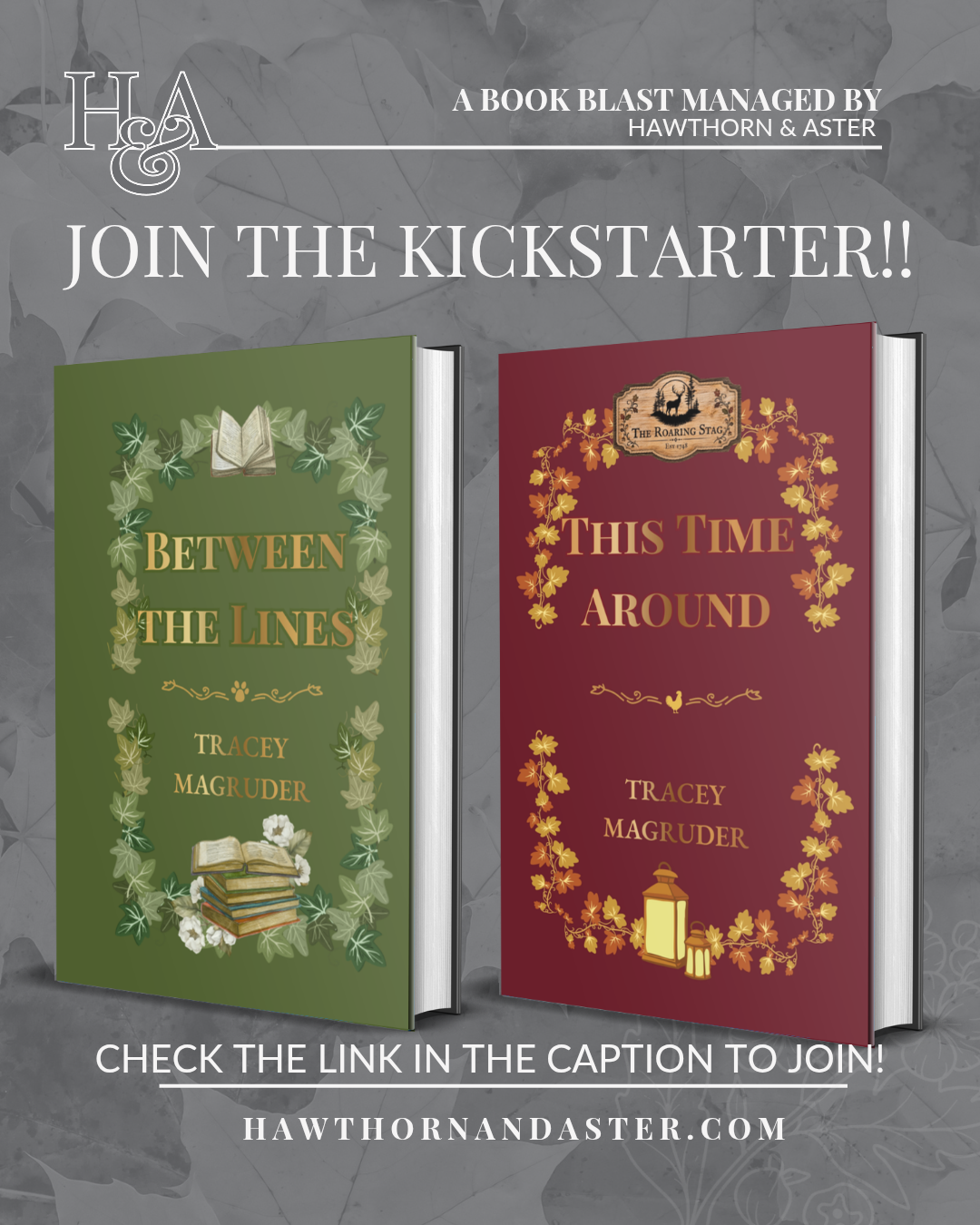 Kickstarter campaign for Tracey Magruder's Missenden Series