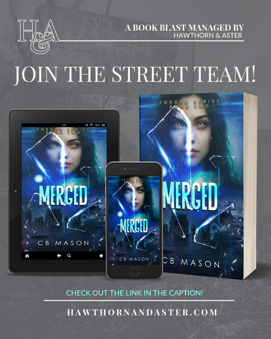 C.B. Mason, Young Adult Dystopian Romance, Looking for Street Team