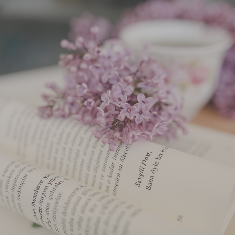 Hawthorn & Aster ARC Sign-Ups: An open book with lilacs and a cup of tea